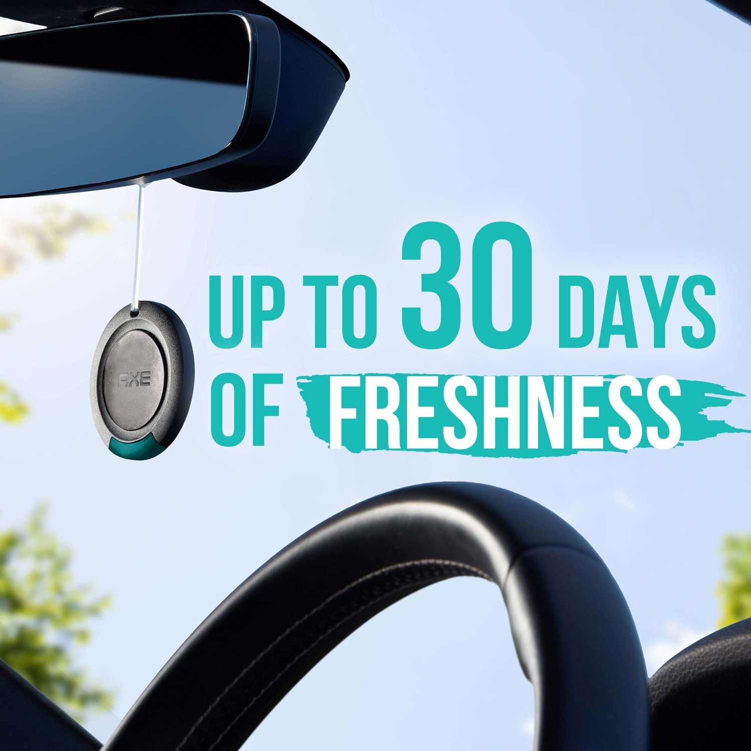 Axe Auto Air Fresheners Apollo Sage and Cedarwood Scent Hanging Air