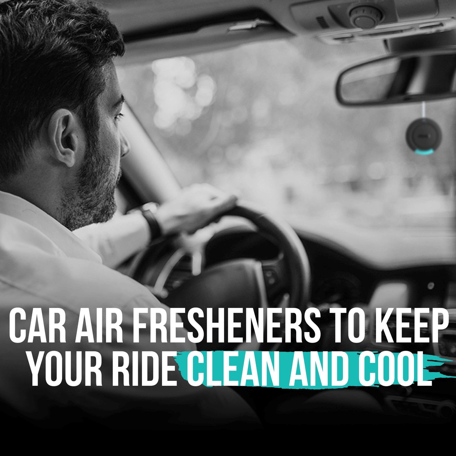 Axe Auto Air Fresheners Apollo Sage and Cedarwood Scent Air Freshener Hanging