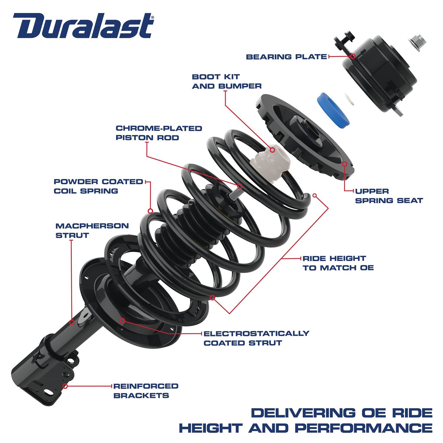 Duralast Loaded Strut Assembly LS33-81151B