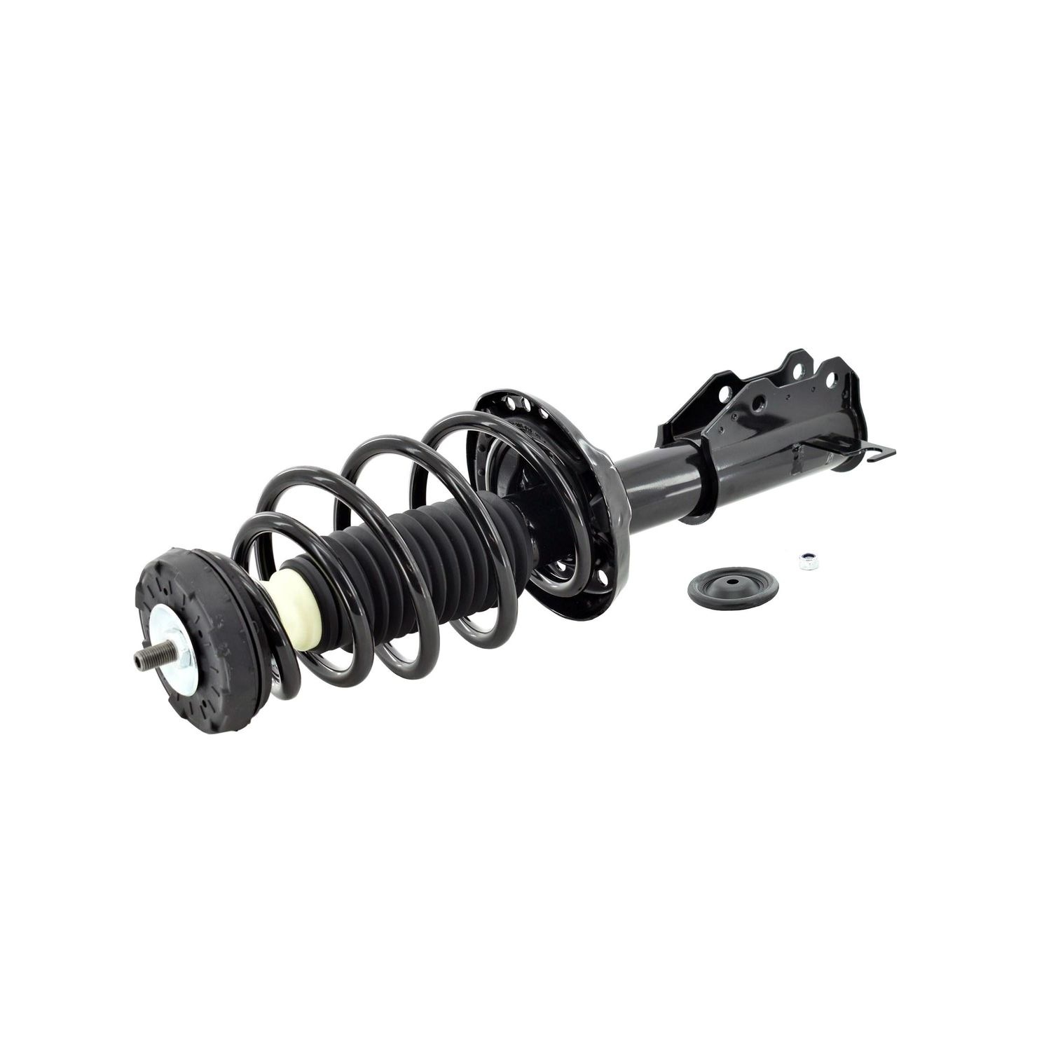 Duralast Suspension Strut and Coil Spring Assembly LS33-81991L