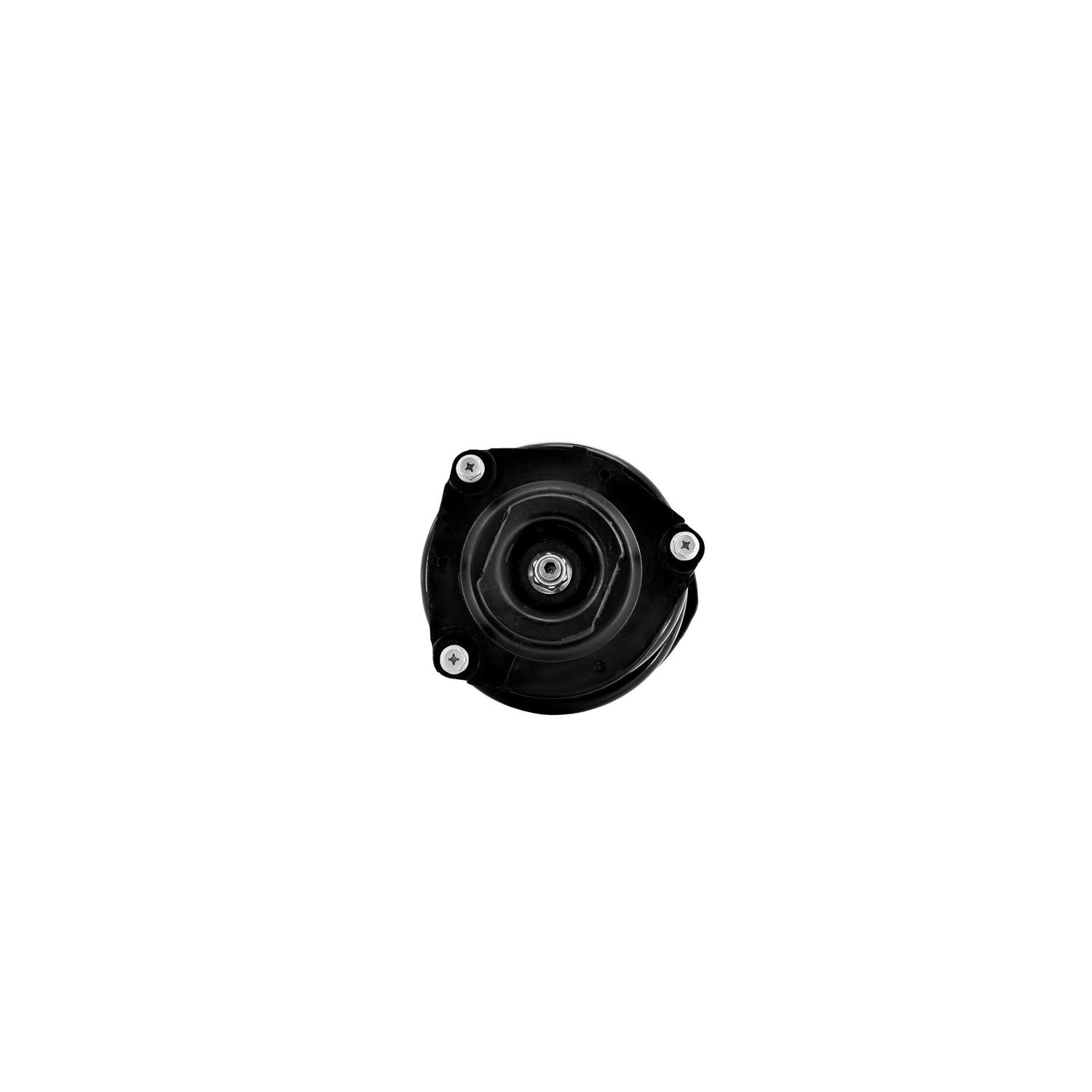 Duralast Suspension Strut and Coil Spring Assembly LS34-86641R