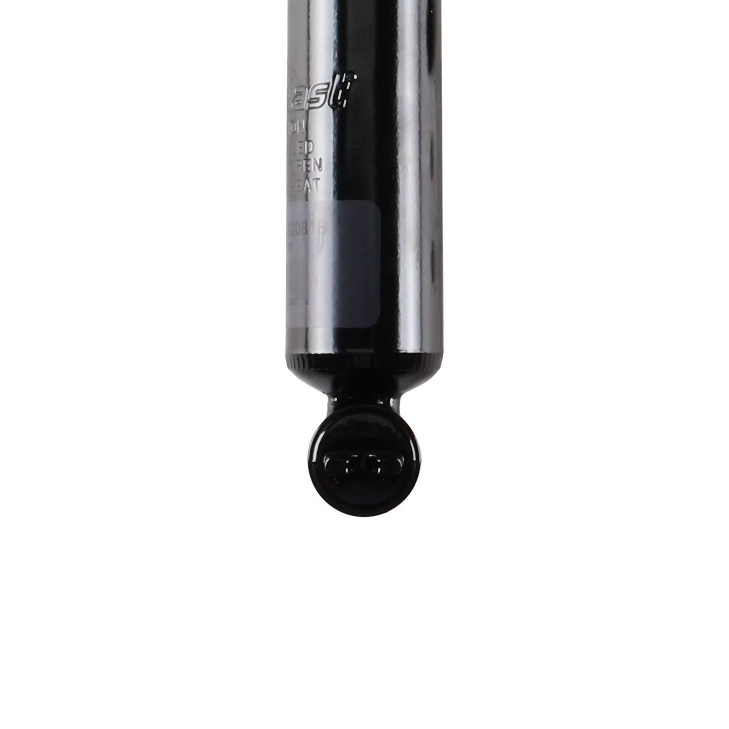 Duralast Suspension Strut TS34-32081B