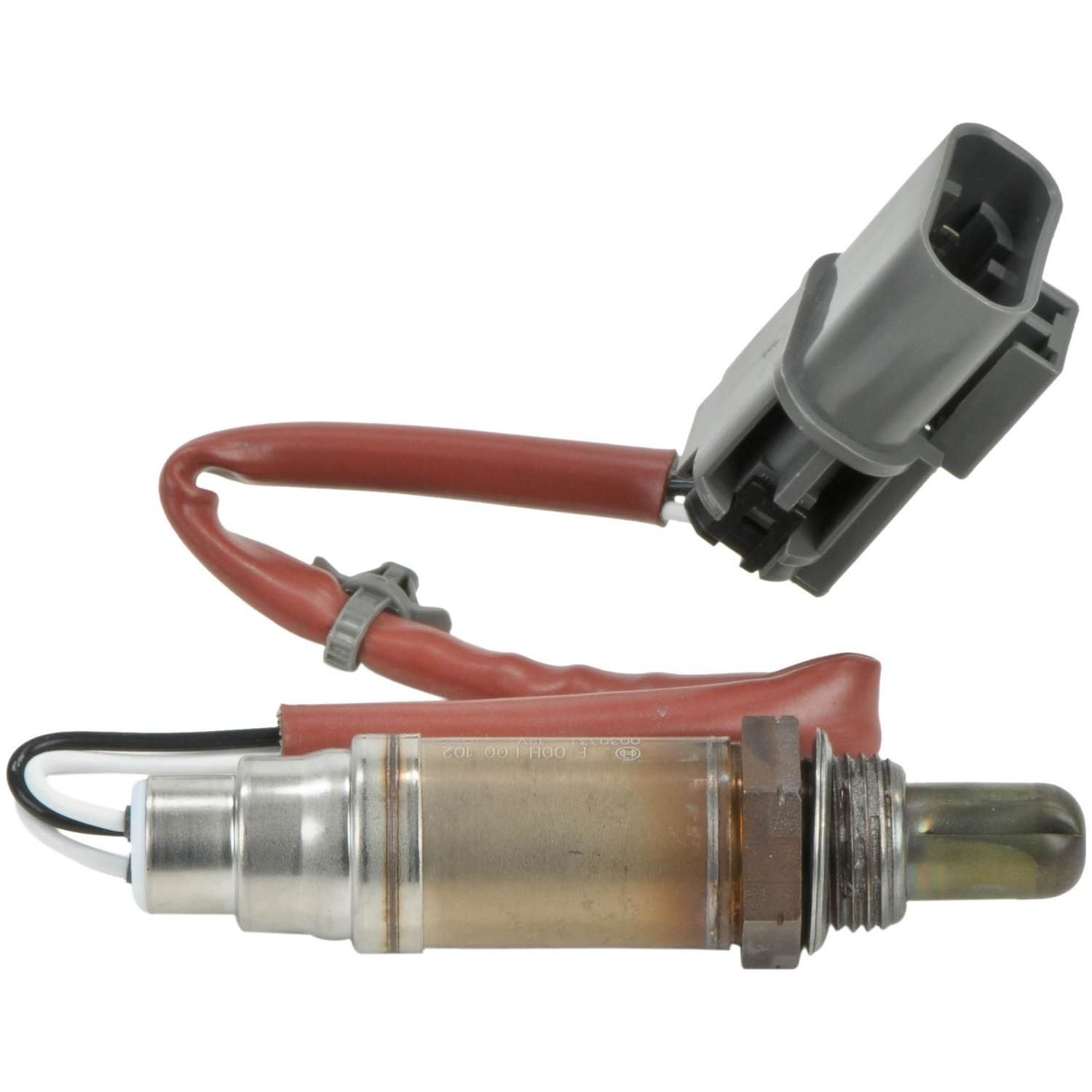 ぱお bosch-16978.jpg
