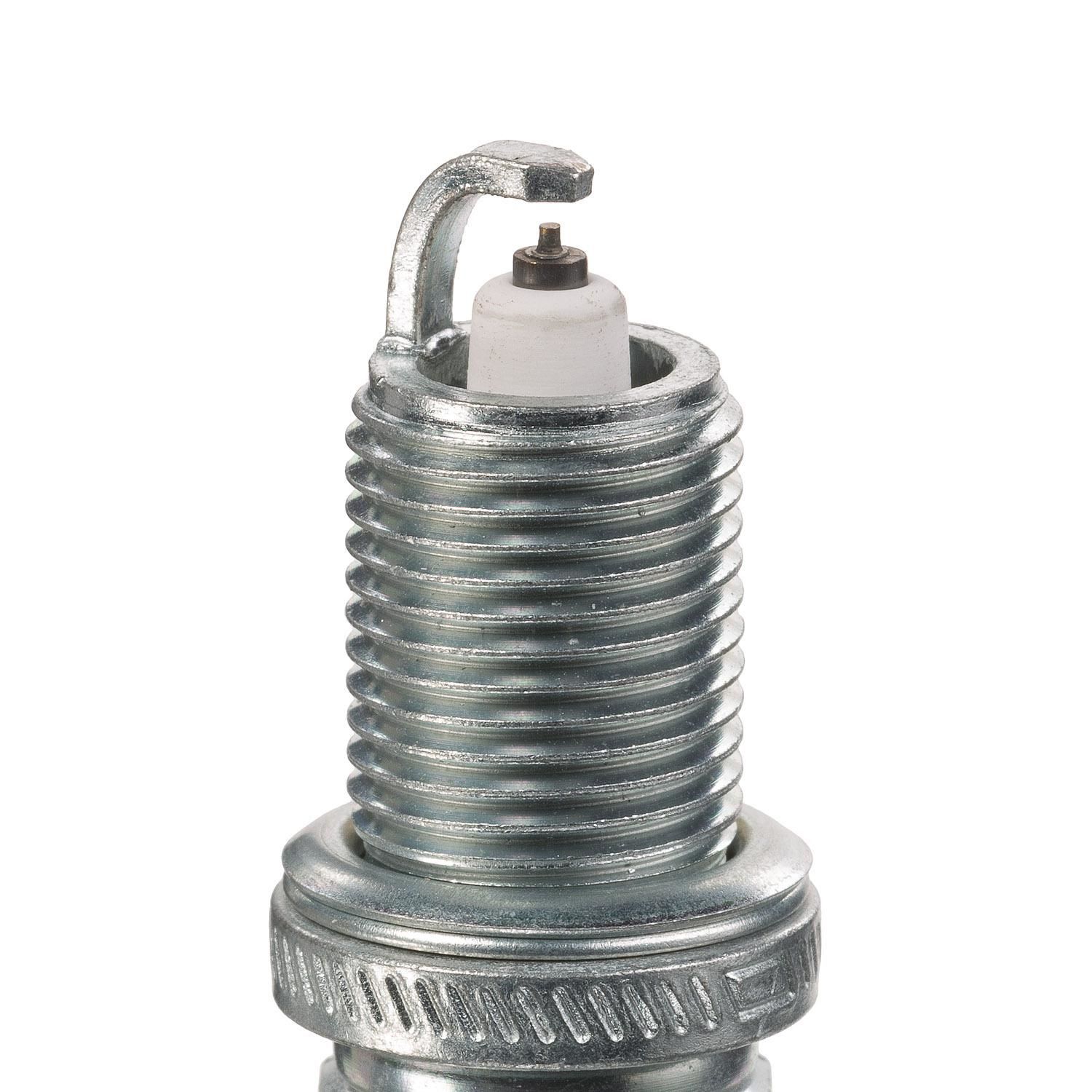 512oRFIOE0L._UY1000_.jpg
