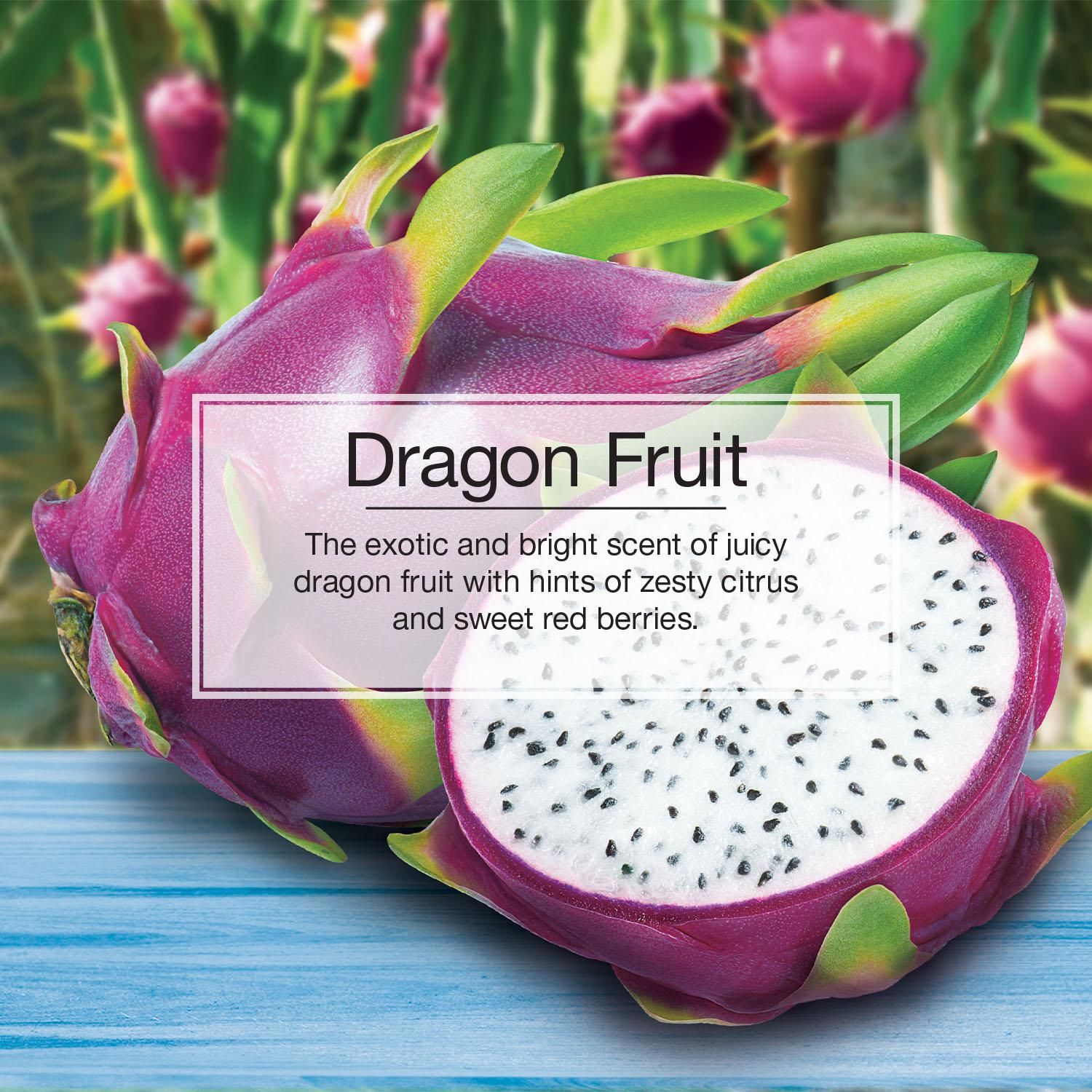 Dragon Fruit  Little Trees