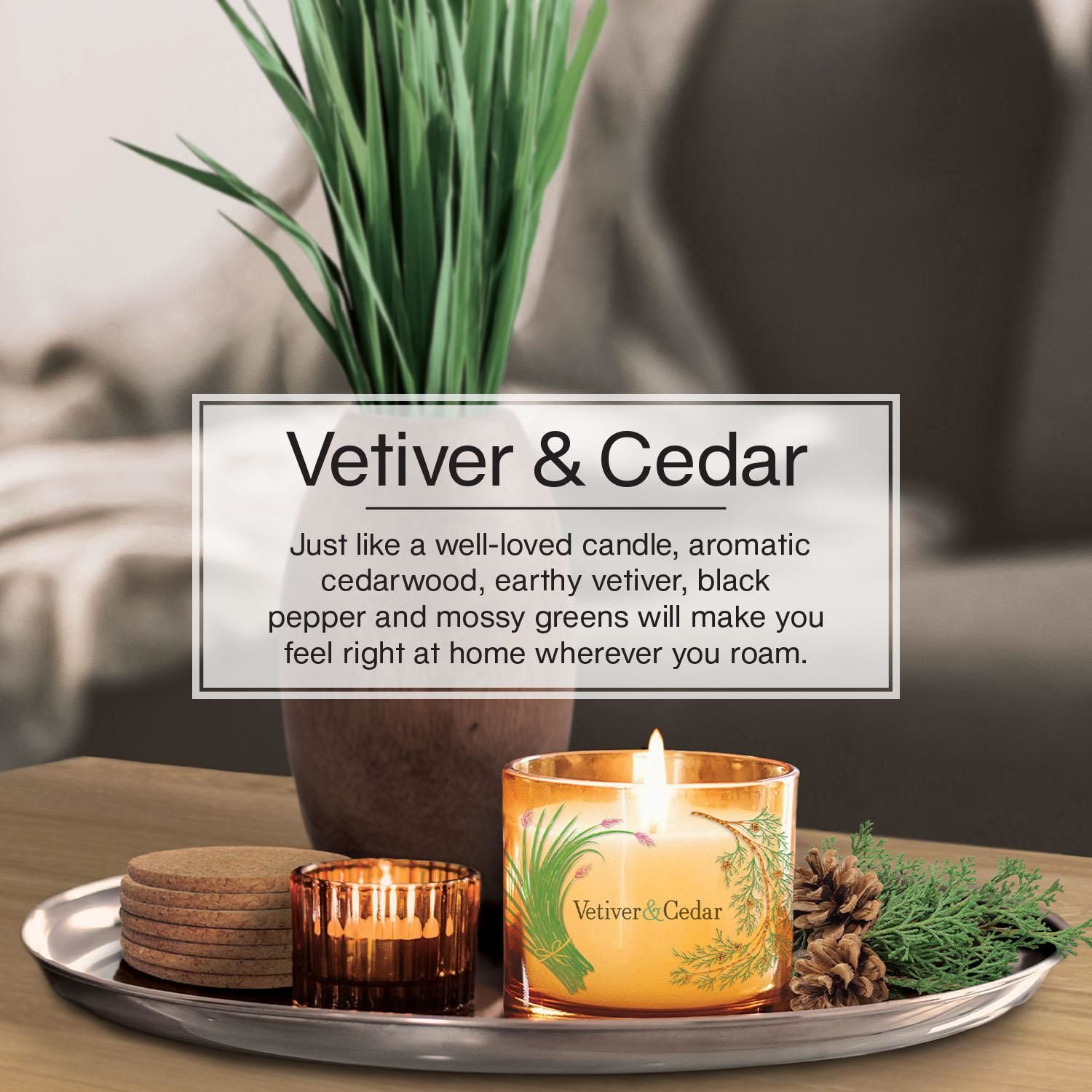 Little Trees Vetiver and Cedar Air Freshener 3 Piece