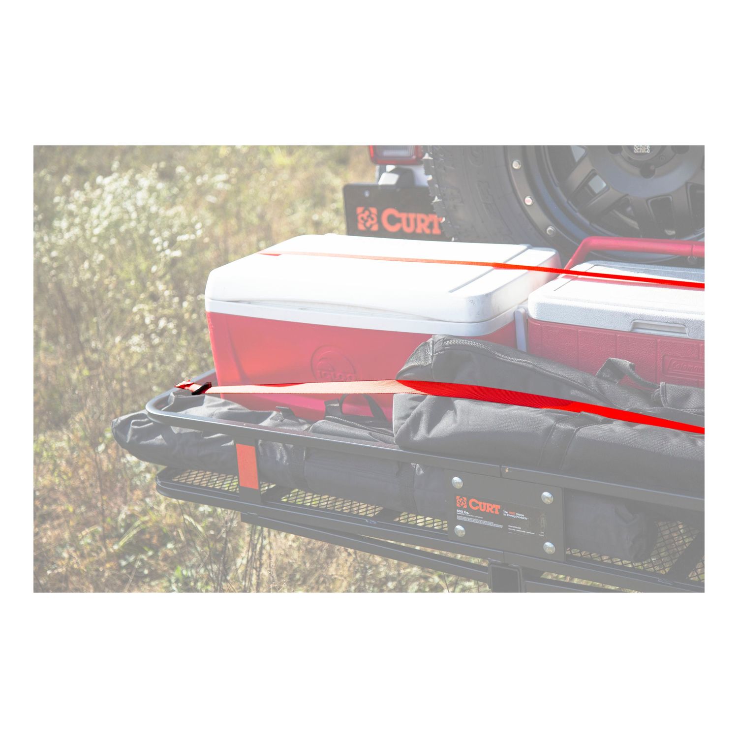 CURT 1in x 10ft 1500lbs Red Nylon Ratchet Cargo Straps with S Hooks