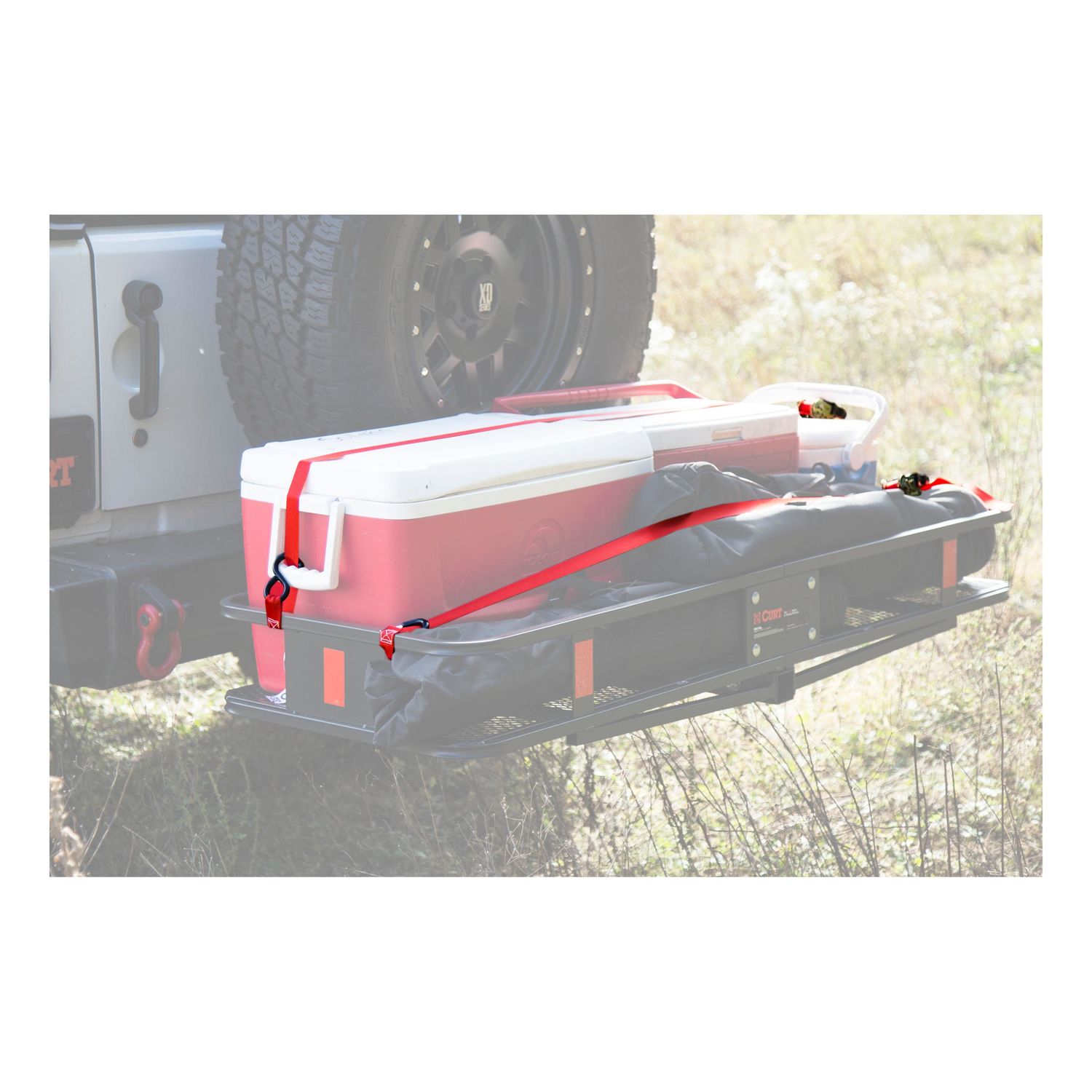 CURT 1in x 10ft 1500lbs Red Nylon Ratchet Cargo Straps with S Hooks