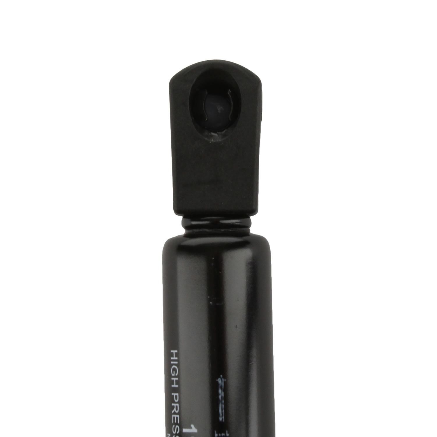 Duralast Trunk Lid Lift Support DL10026A