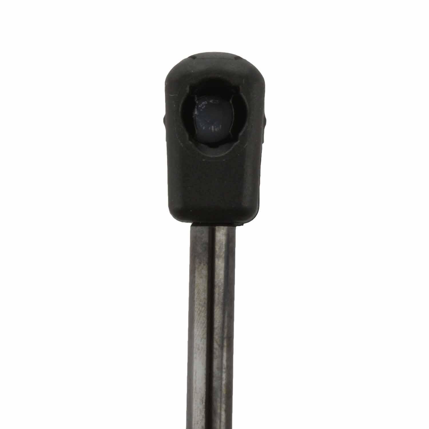 Duralast Trunk Lid Lift Support DL10026A