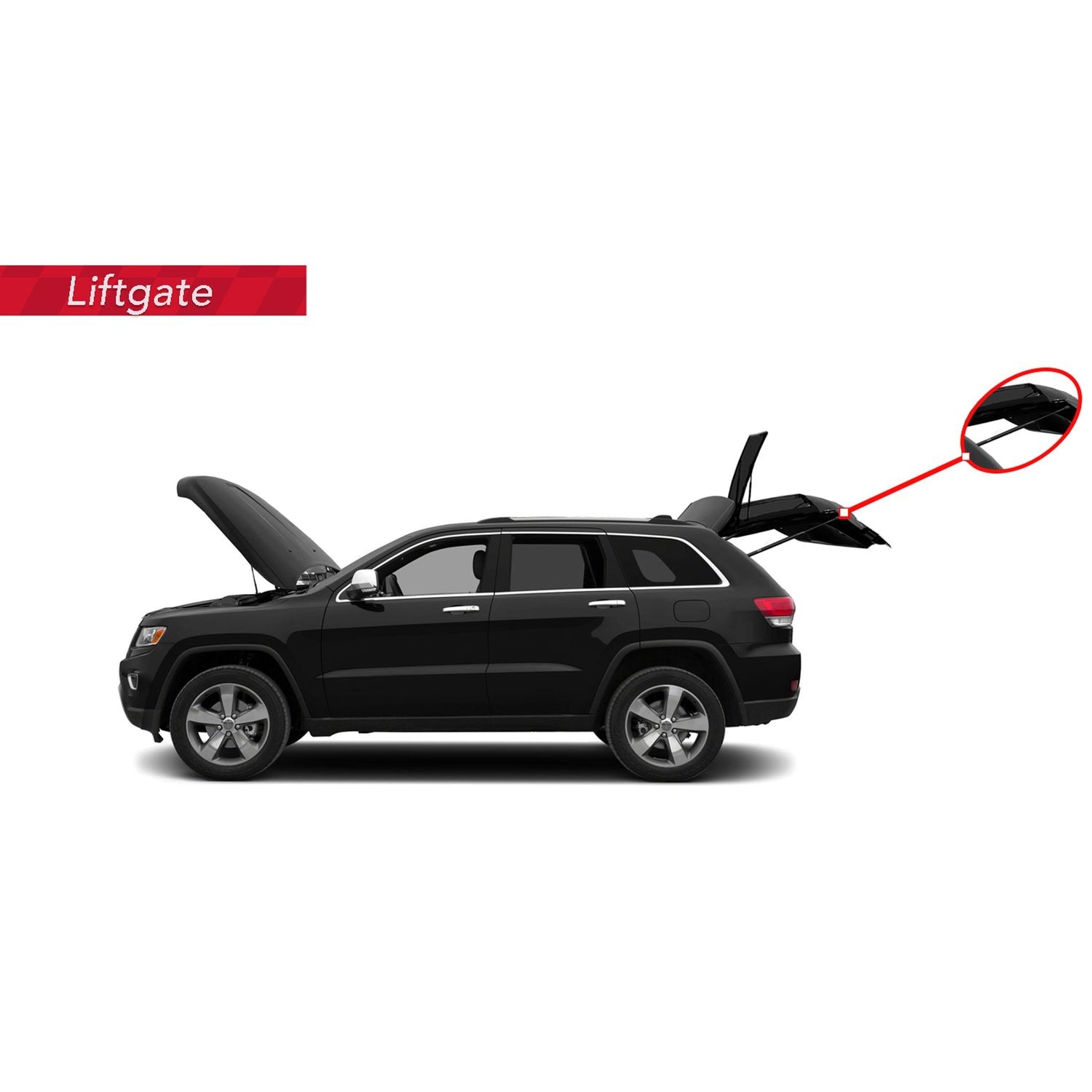 Duralast Liftgate Lift Support DL10676CW