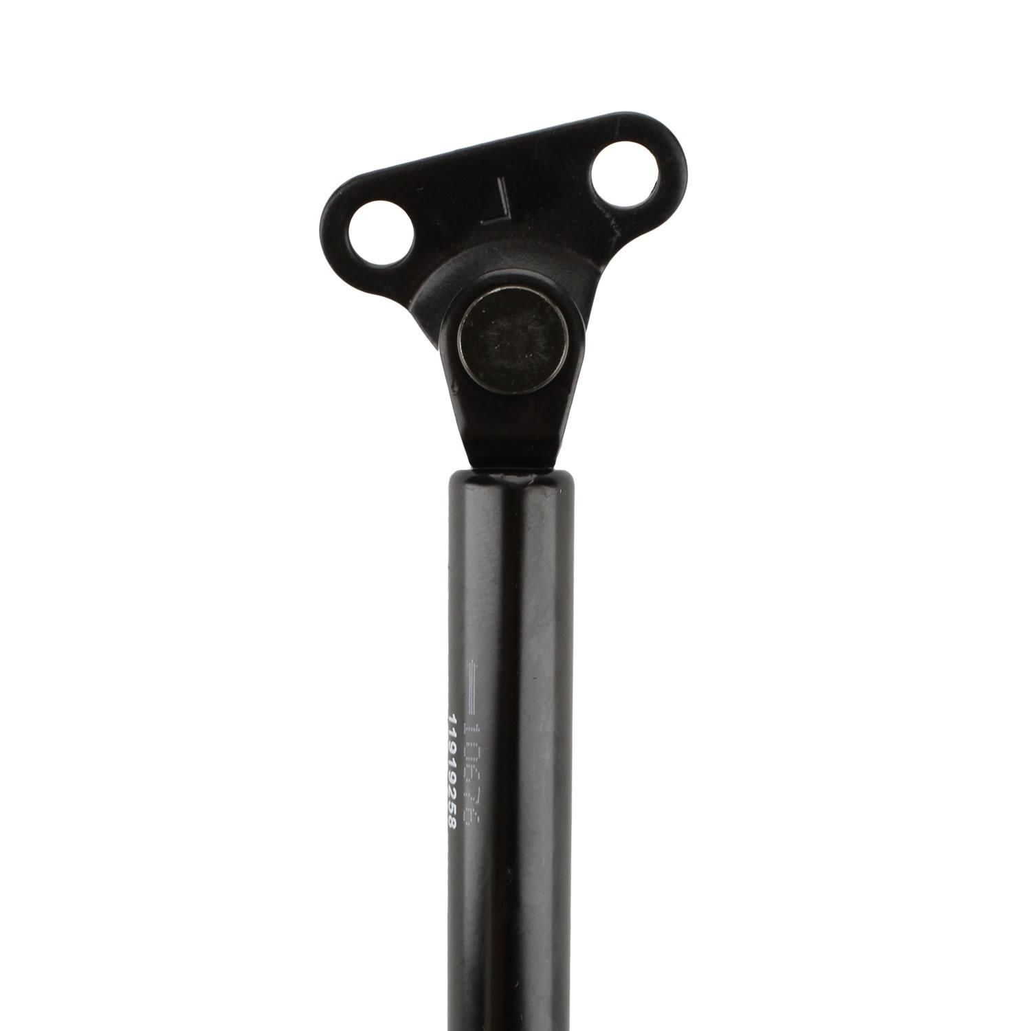 Duralast Liftgate Lift Support DL10676CW