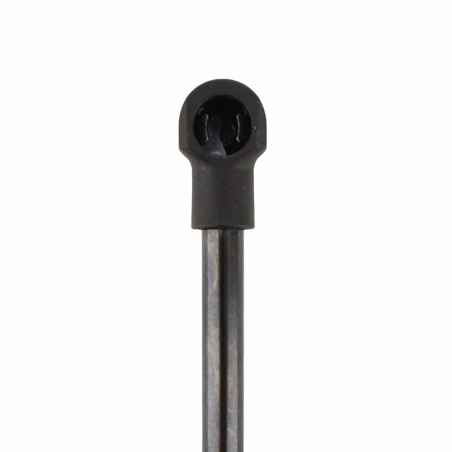 Duralast Liftgate Lift Support DL10676CW