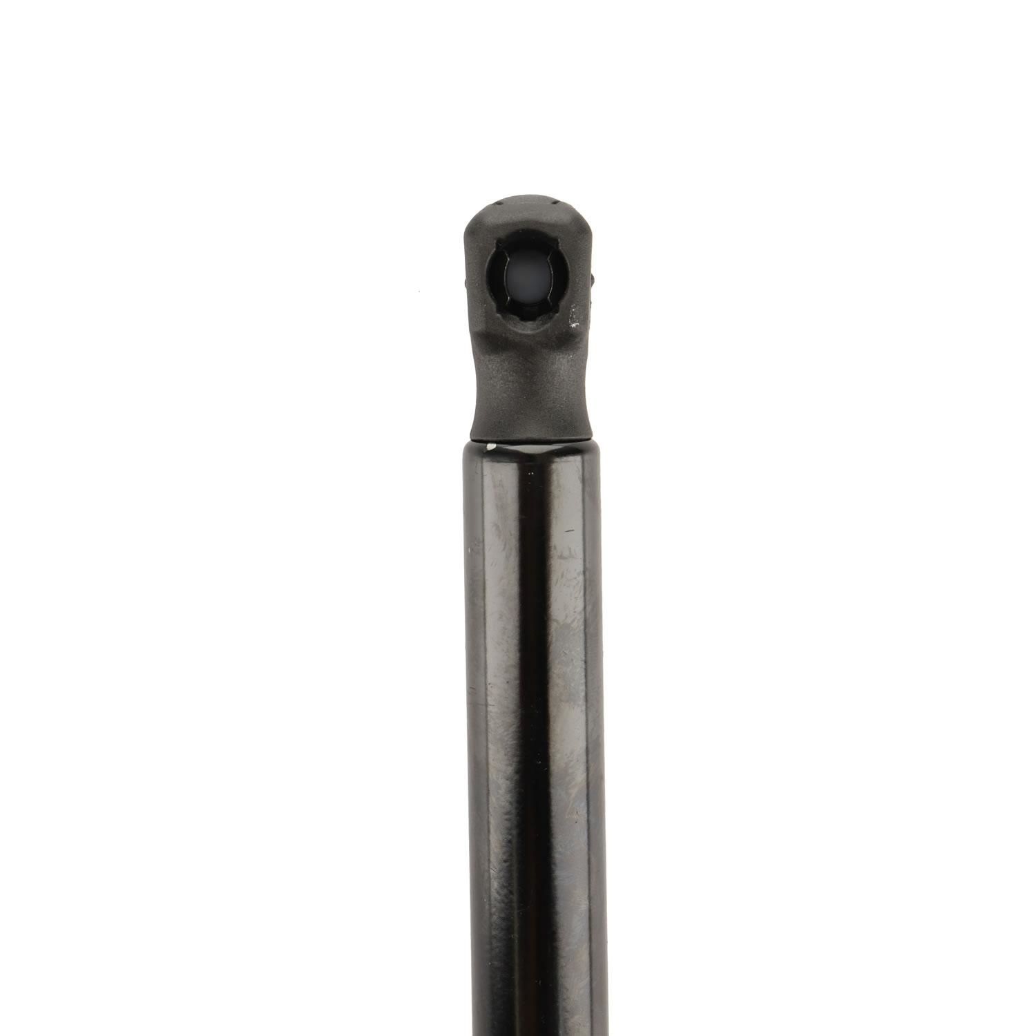 Duralast Trunk Lid Lift Support DL10786A