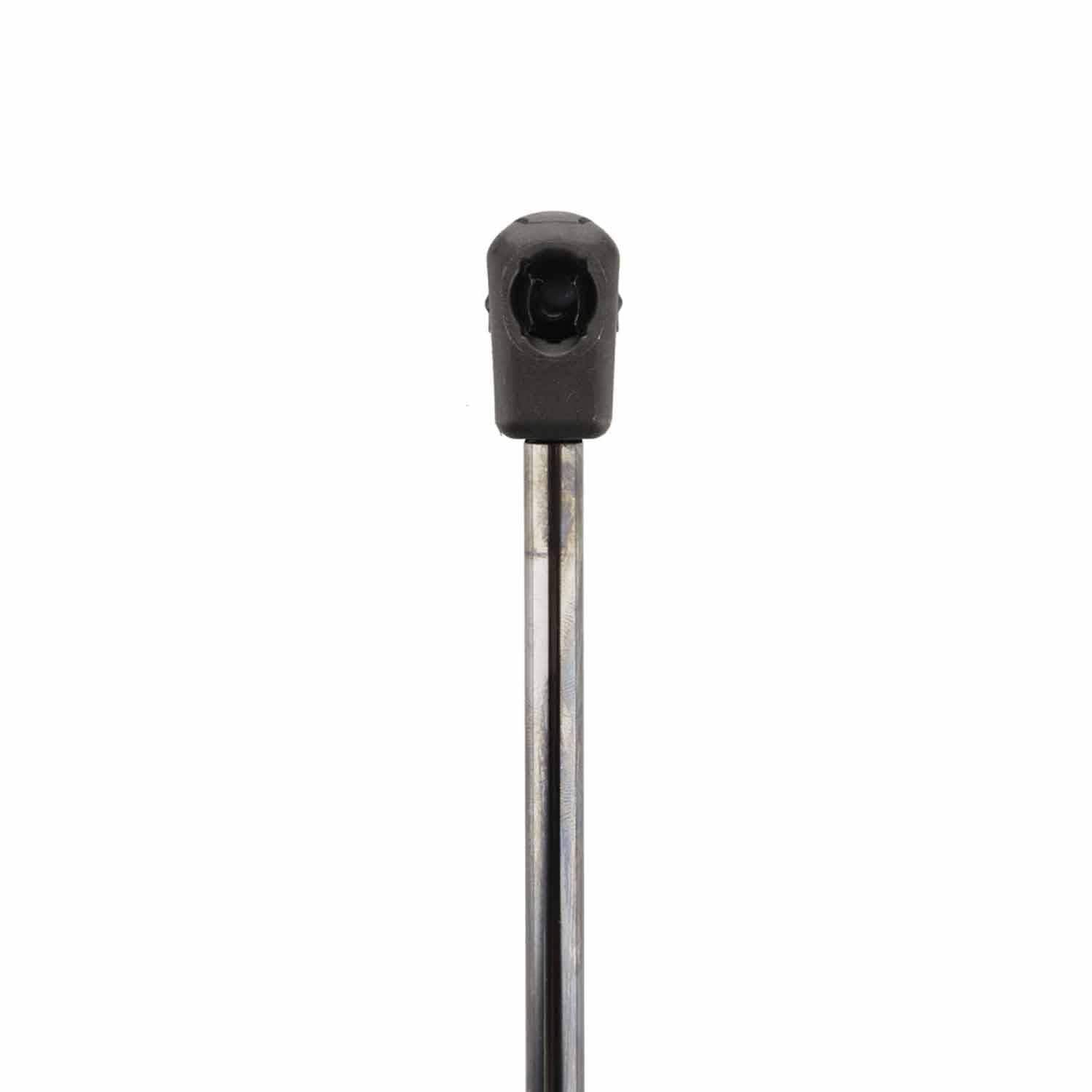Duralast Trunk Lid Lift Support DL10786A