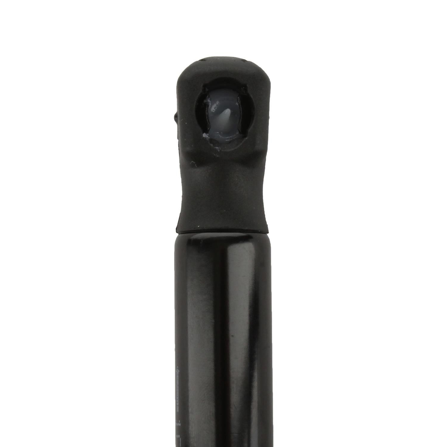 Duralast Liftgate Lift Support DL11147C
