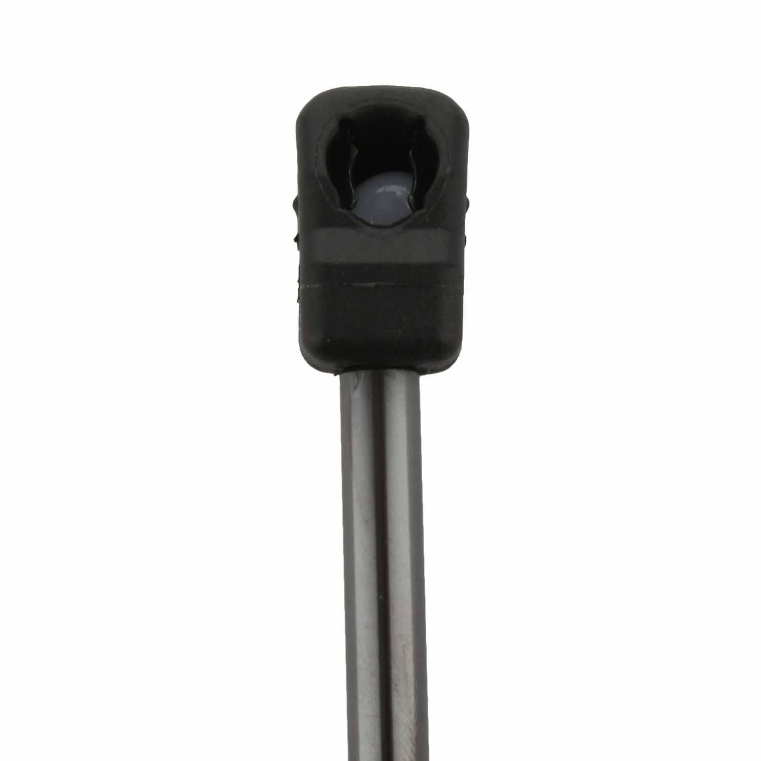 Duralast Liftgate Lift Support DL11147C