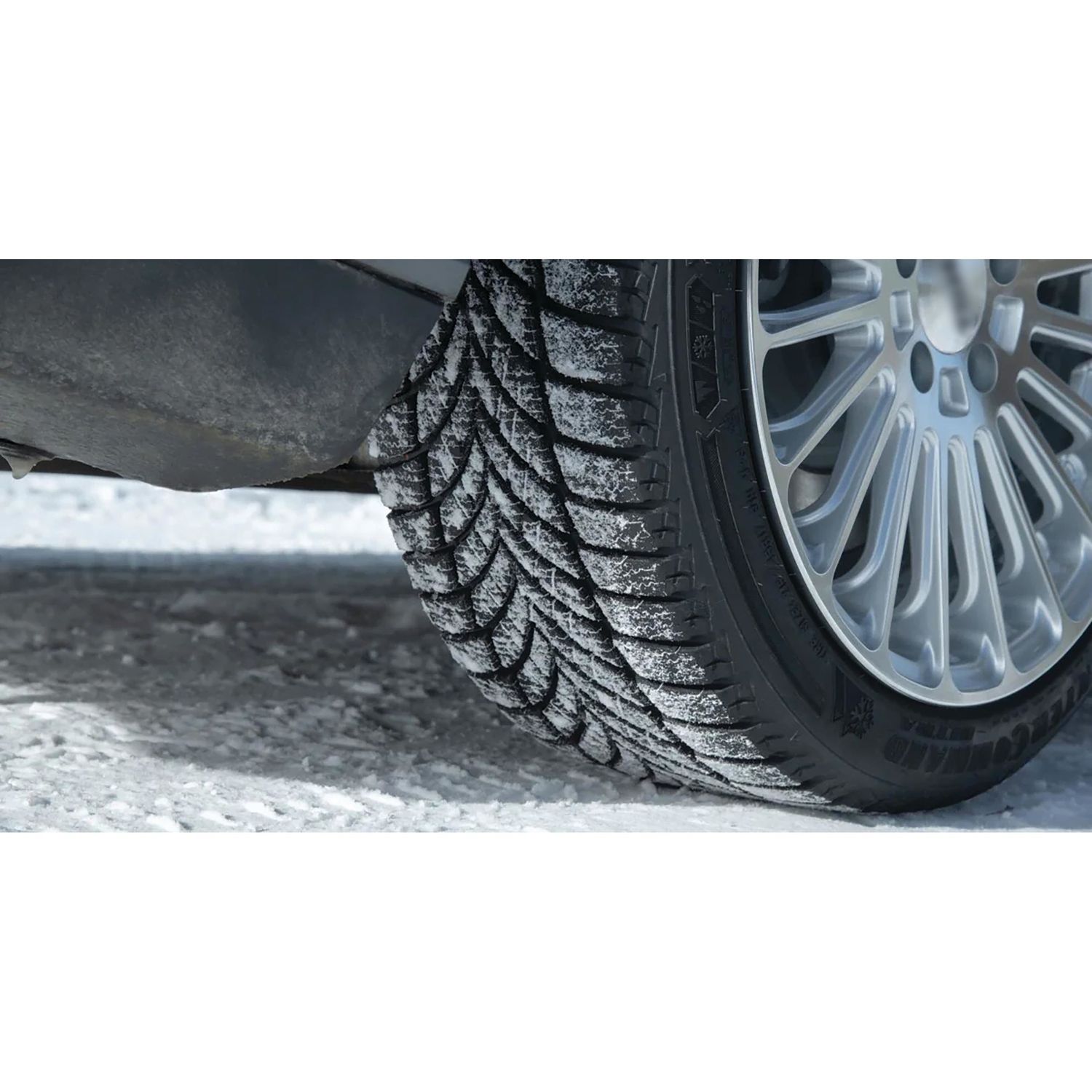 OilDri Premium Absorbent