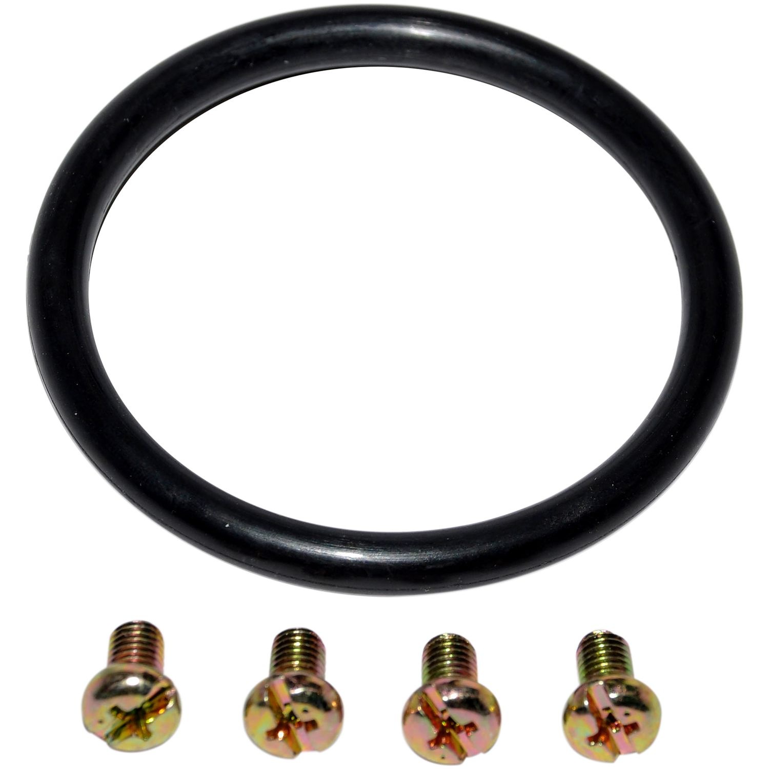 Dorman Fuel Tank 576747