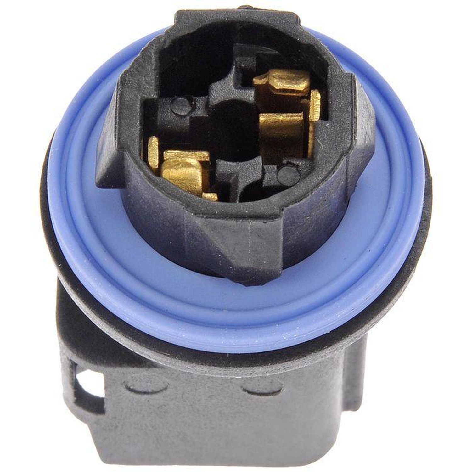 Dorman Marker Light Socket 645550