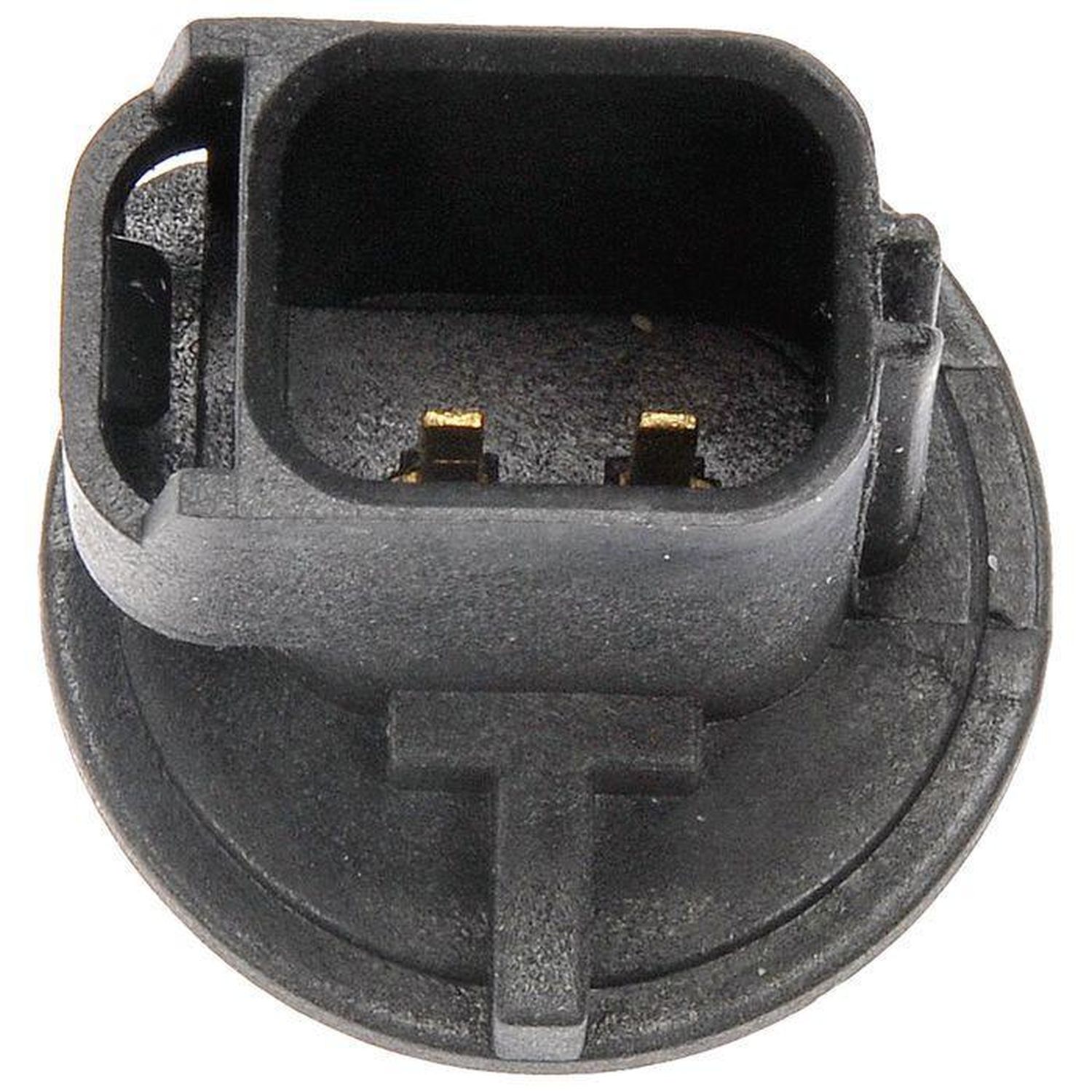 Dorman Marker Light Socket 645550