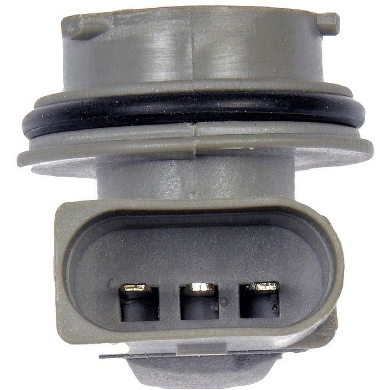 Dorman Tail Light Socket 645562