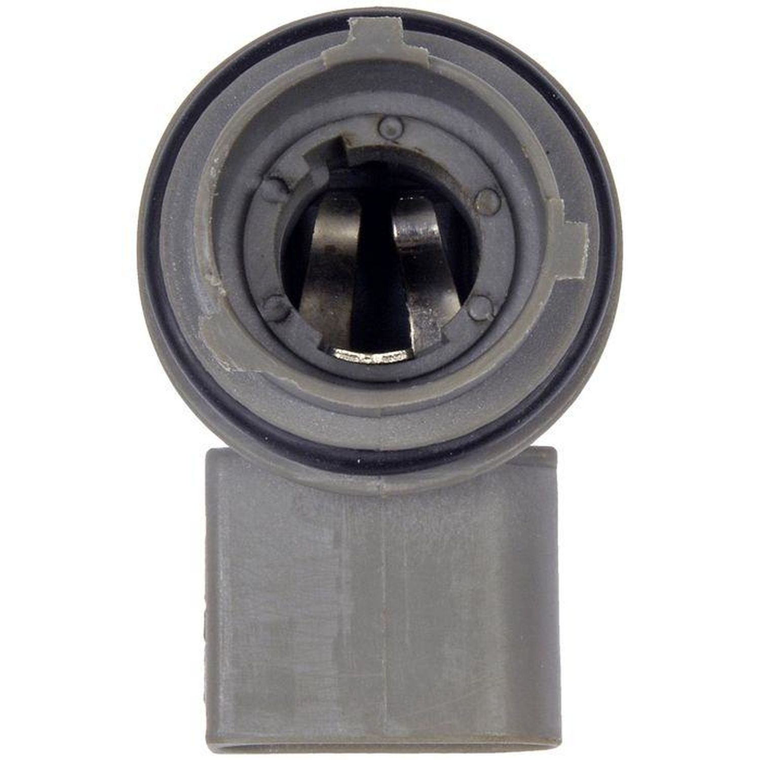 Dorman Tail Light Socket 645562