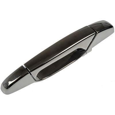 Dorman Exterior Door Handle Rear Driver Side 80105