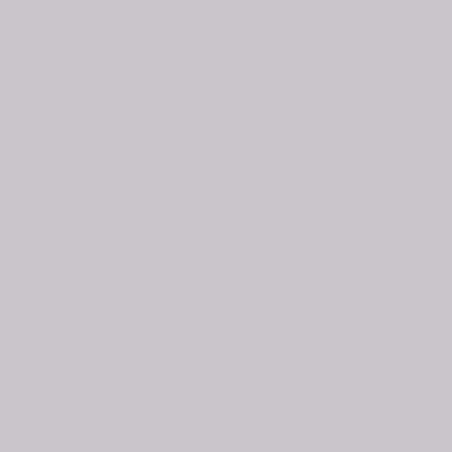 Dupli-Color Perfect Match Touch Up Paint BCC0331