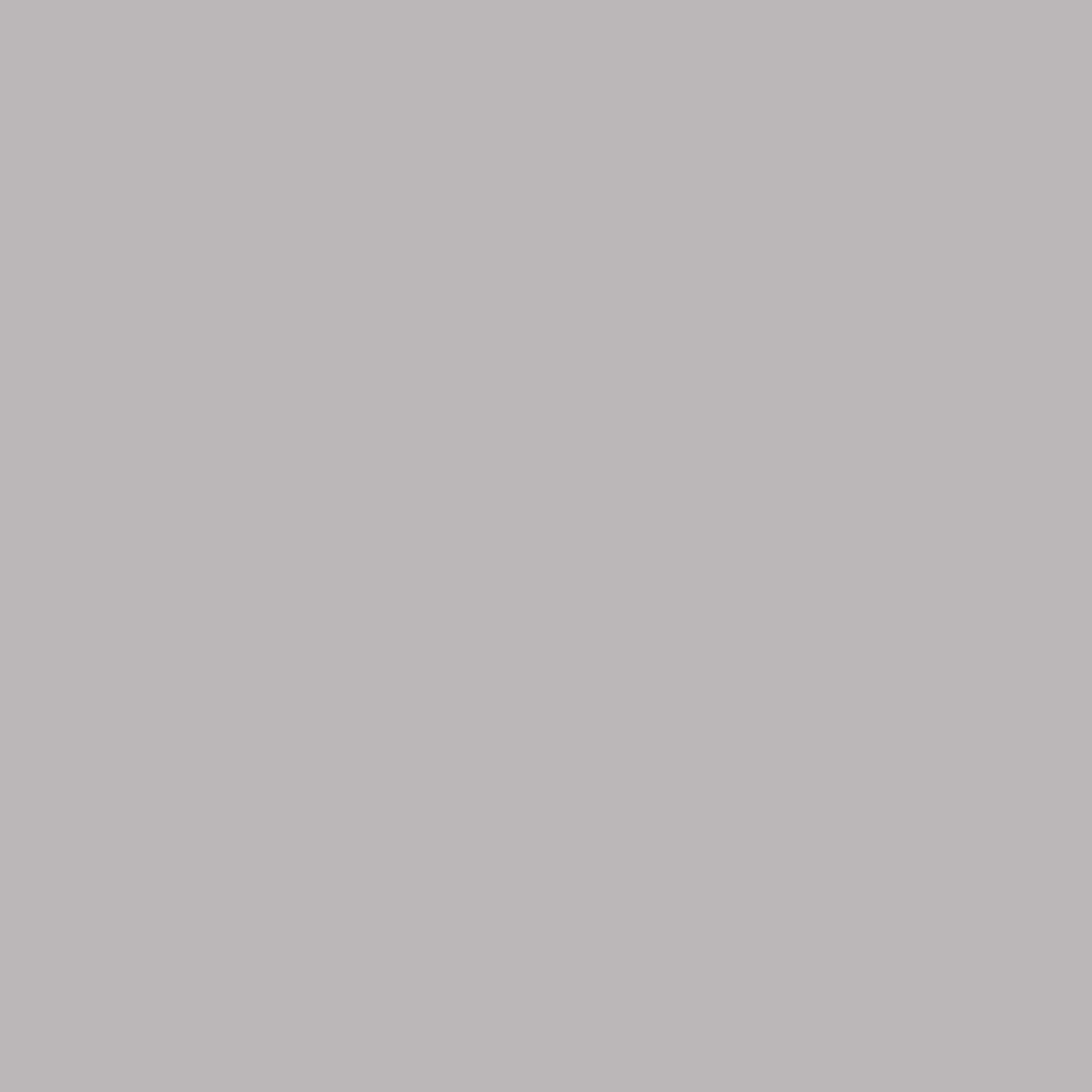 Dupli-Color Perfect-Match Bright Silver 8oz