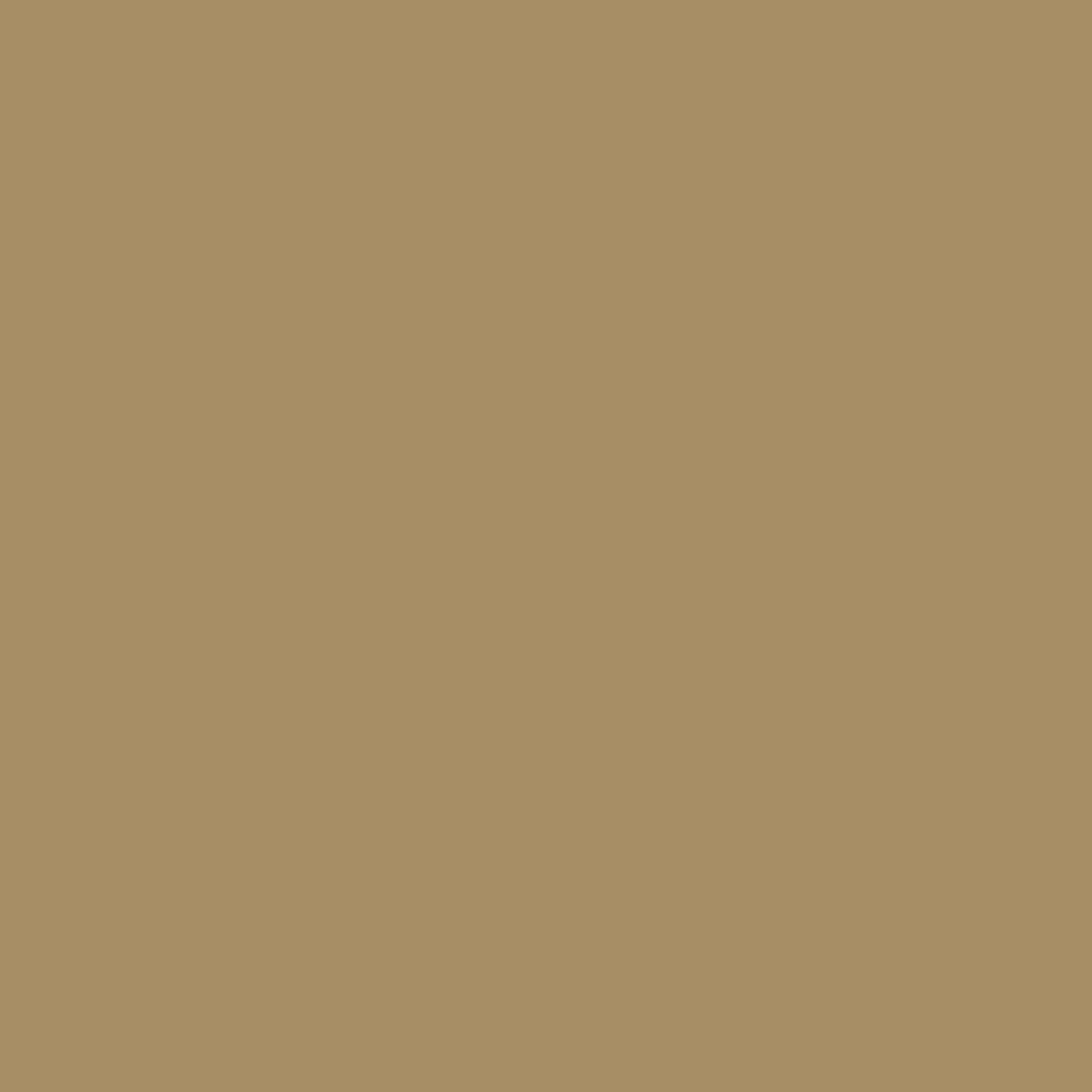 Dupli-Color Perfect Match Touch Up Paint Sunburst Gold Metallic BP