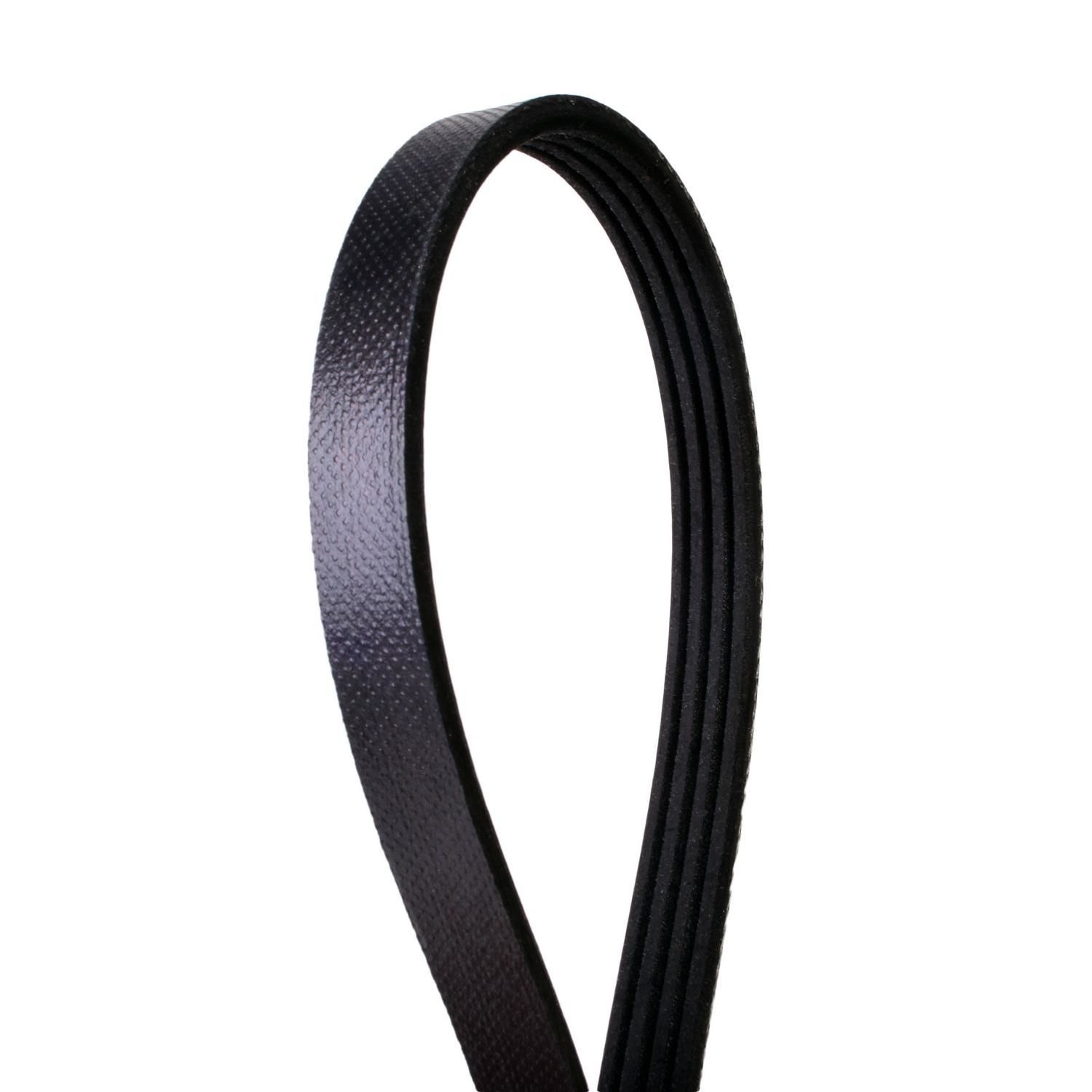 Continental Belt 4040417