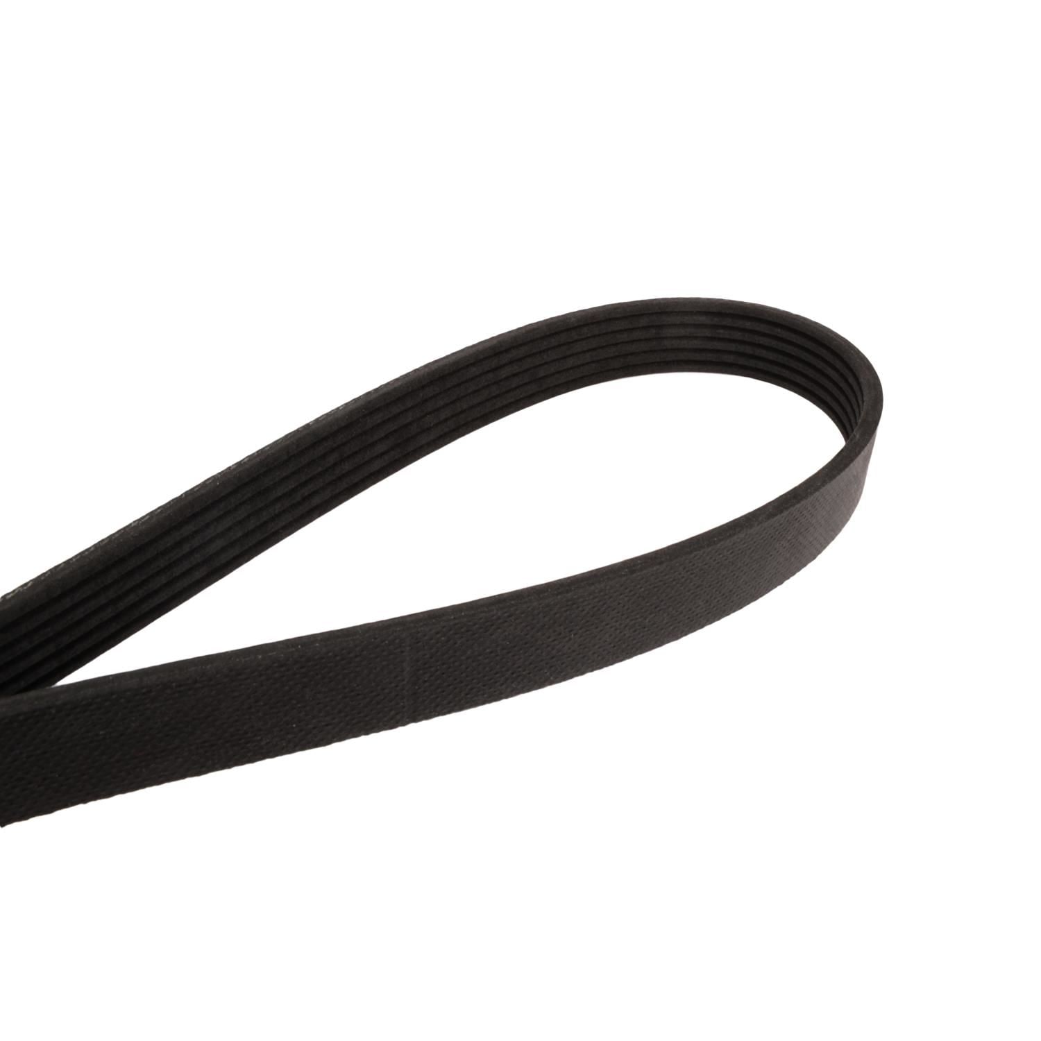 Continental Belt 4060922