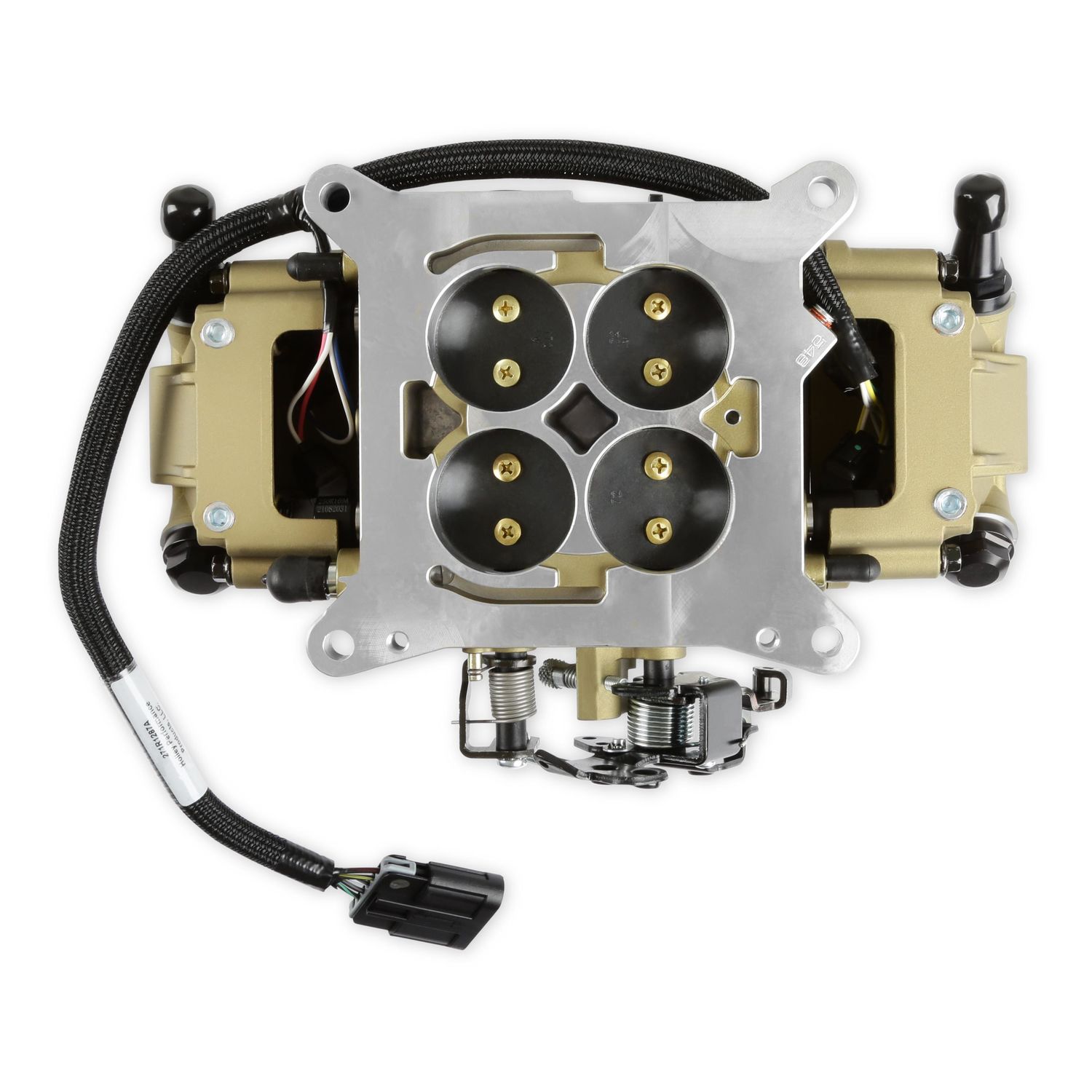Holley EFI Fuel Injection Conversion Kit 550-1076