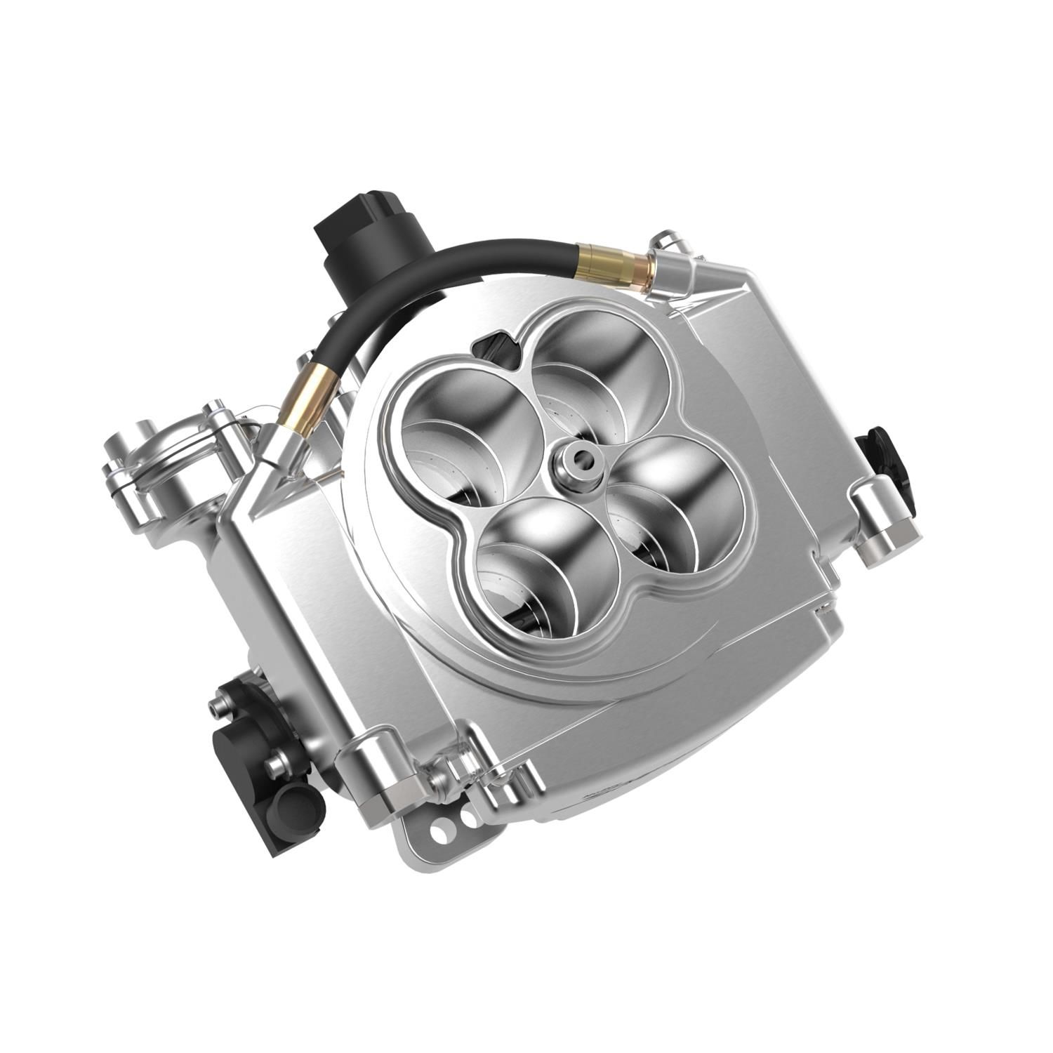 Holley Fuel Injection Conversion Kit 550510