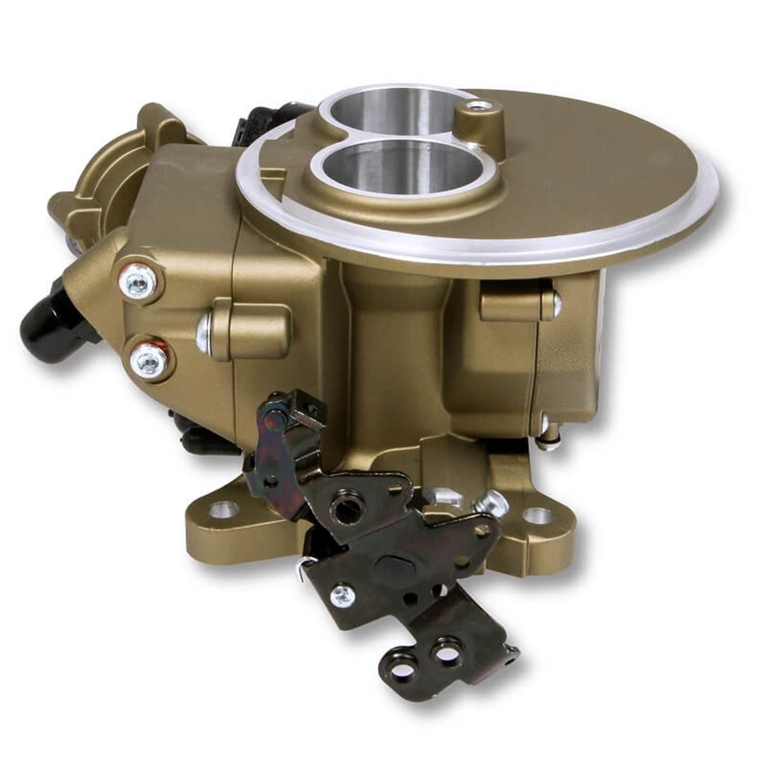 Holley Fuel Injection Conversion Kit 550854