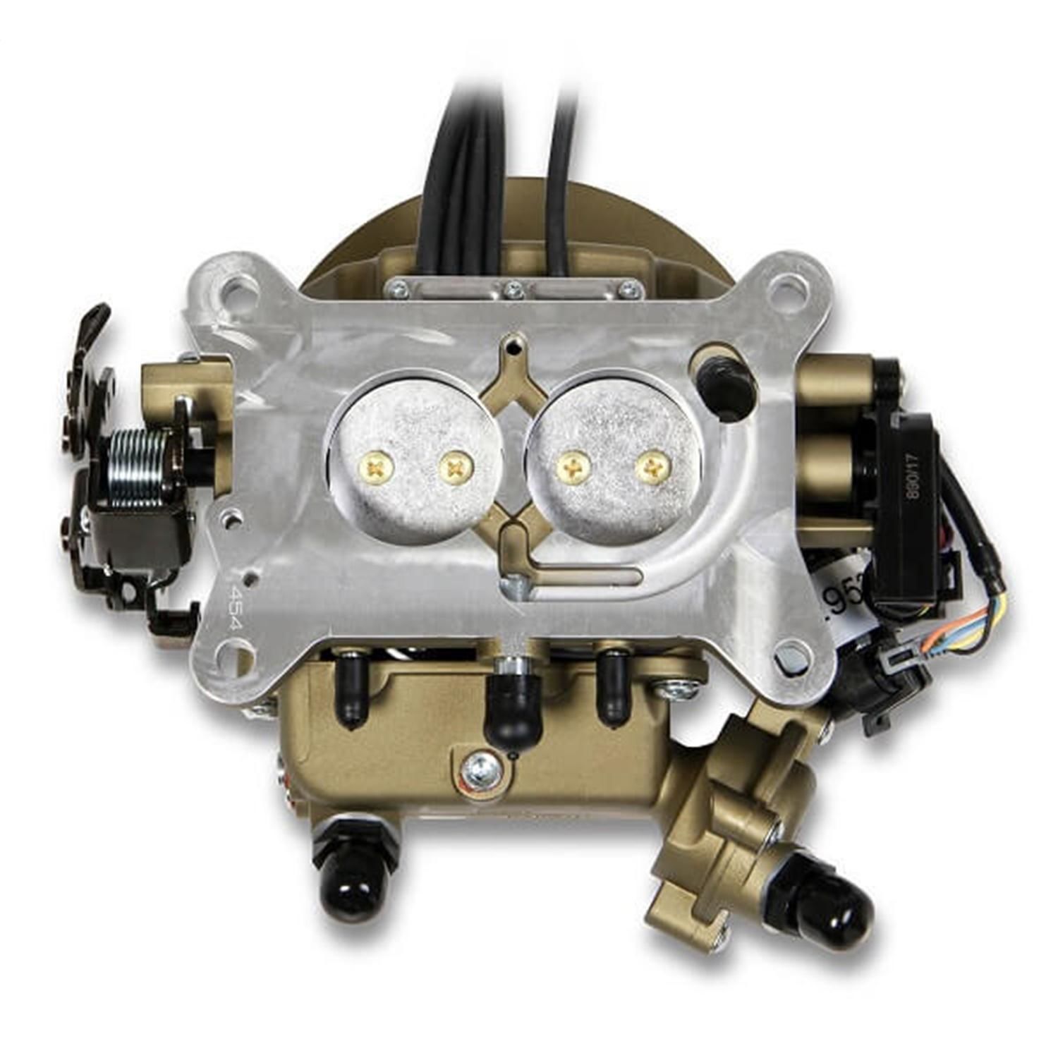 Holley Fuel Injection Conversion Kit 550854