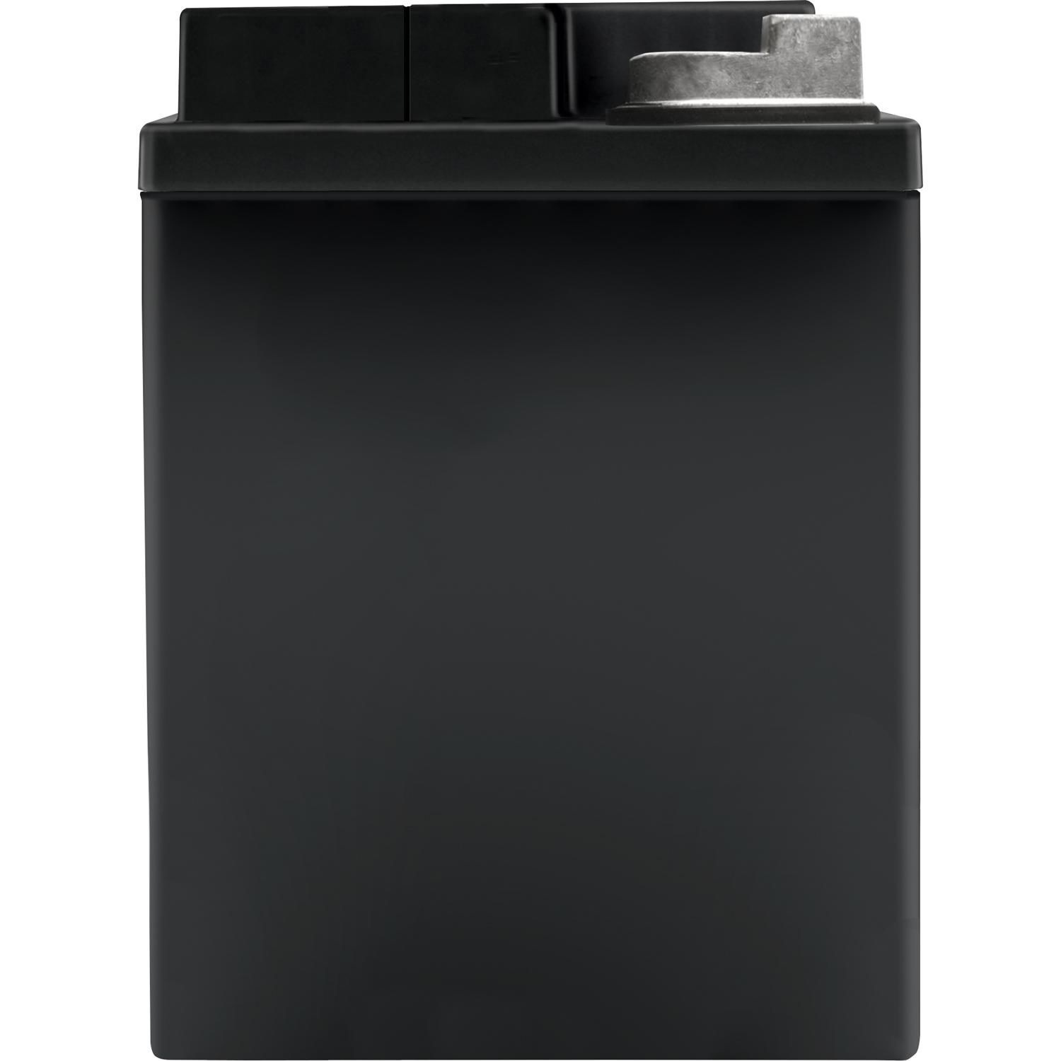 Duralast Platinum AGM Auxiliary Battery AUX12