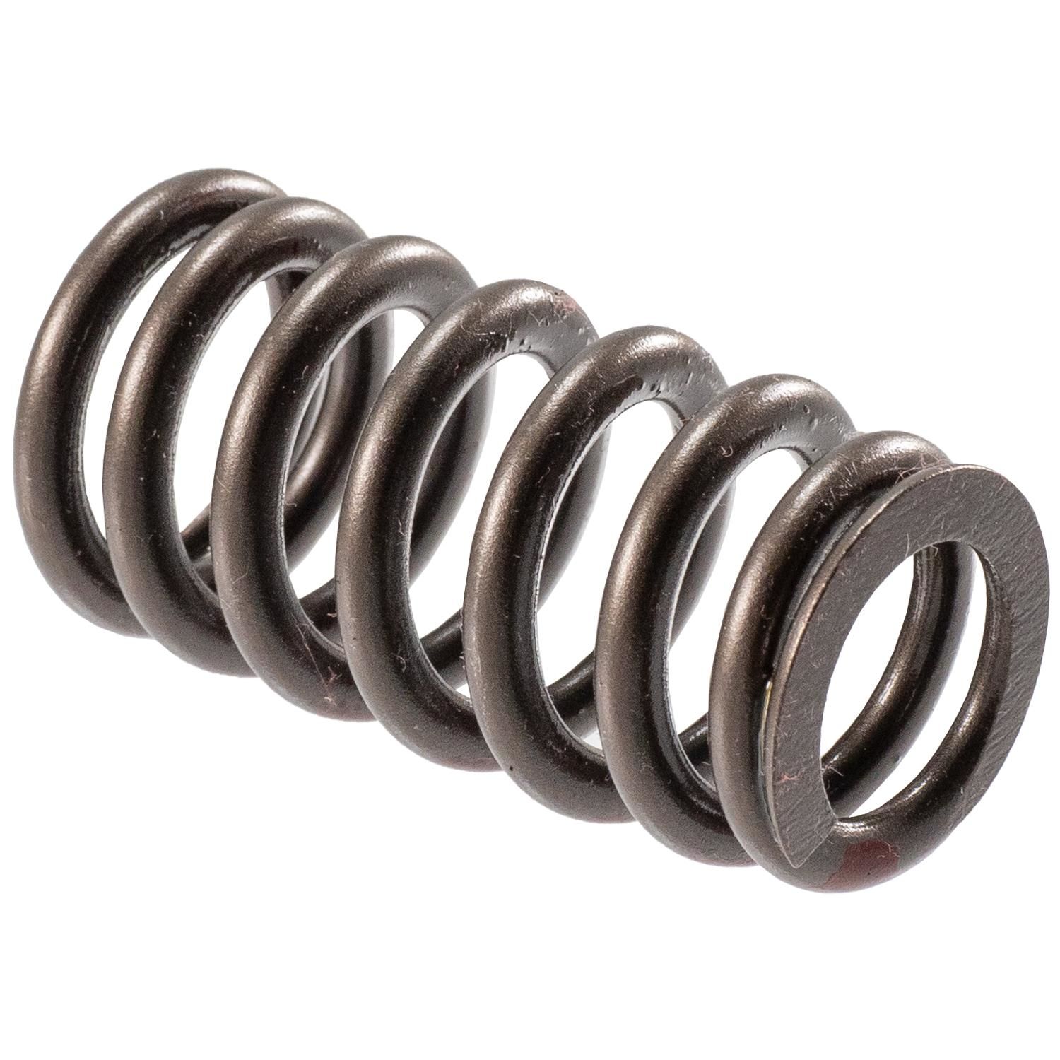 Melling Valve Spring VS-2484