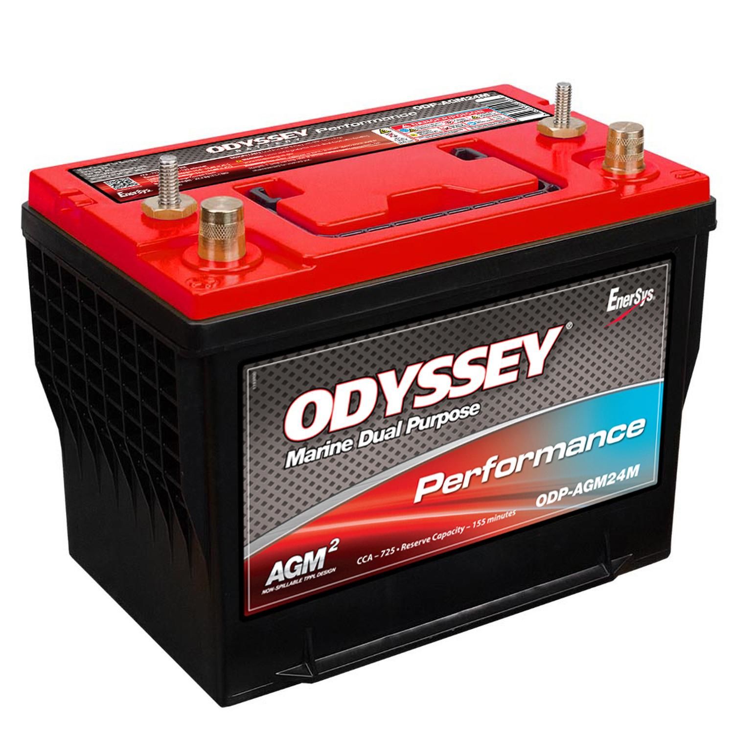 Autozone shop marine battery