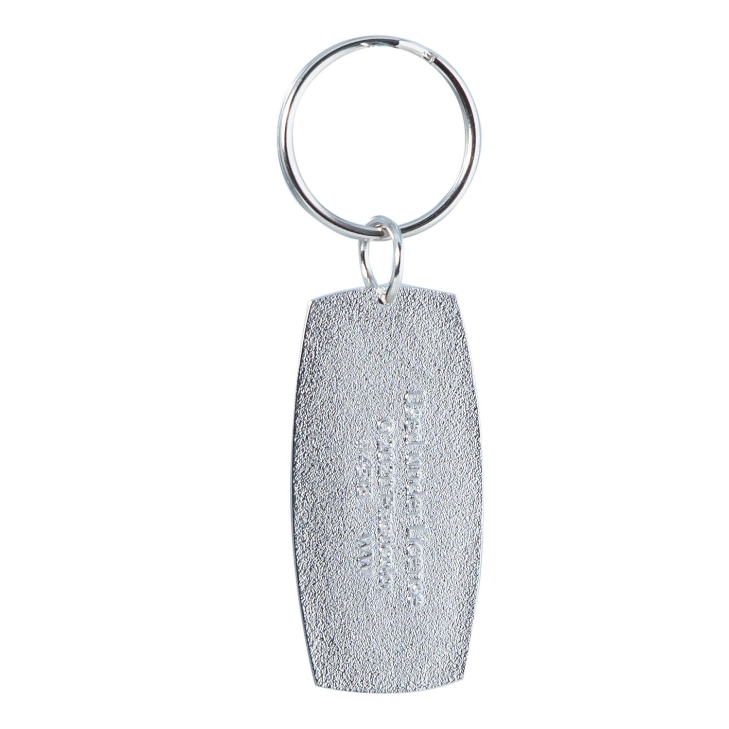 Plasticolor Nissan Key Chain