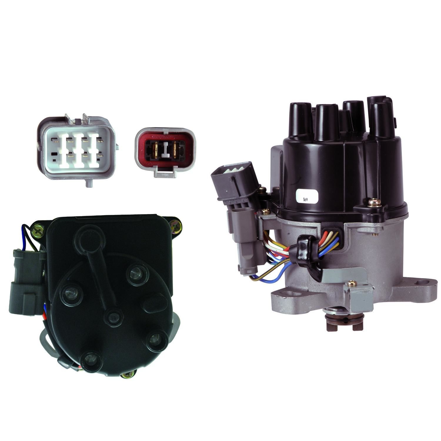 Duralast Gold Distributor ADLG-TD55