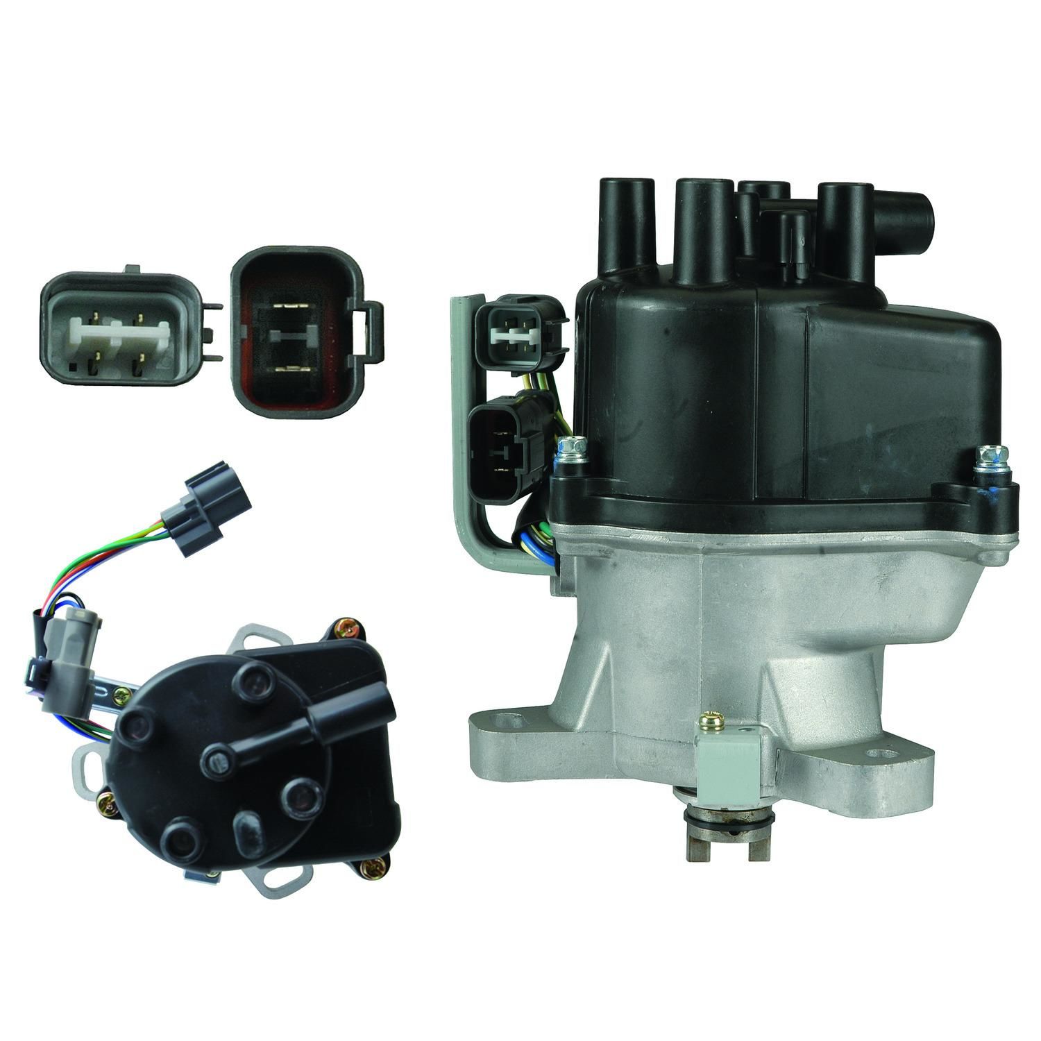 Duralast Gold Distributor ADLG-TD76