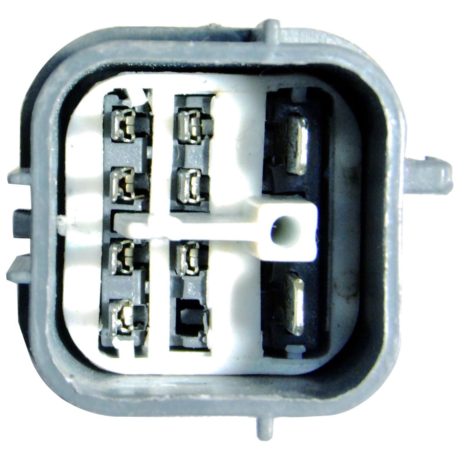 ドテラ Duralast Gold Distributor ADLG-TD84