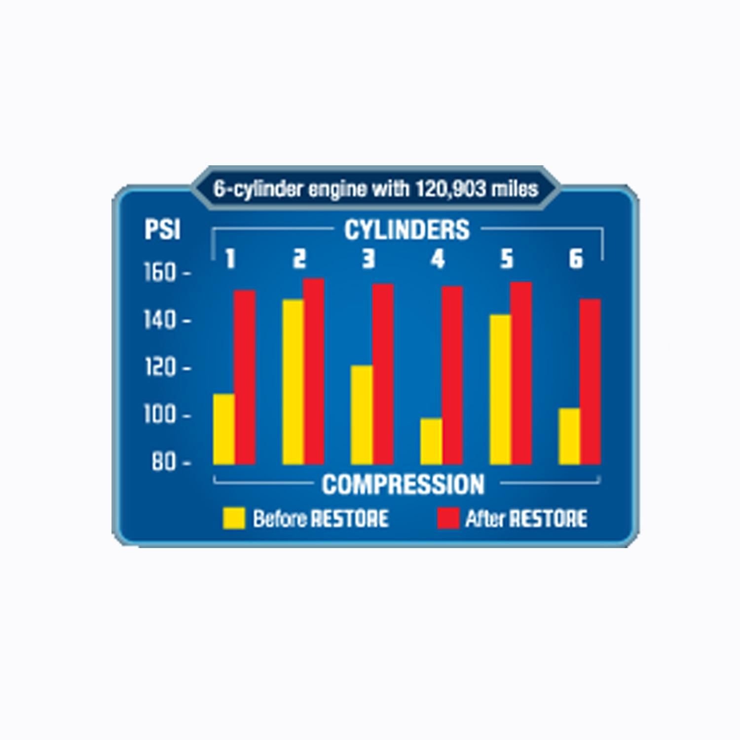 Restore 6-Cycle Engine Additive 12.5oz