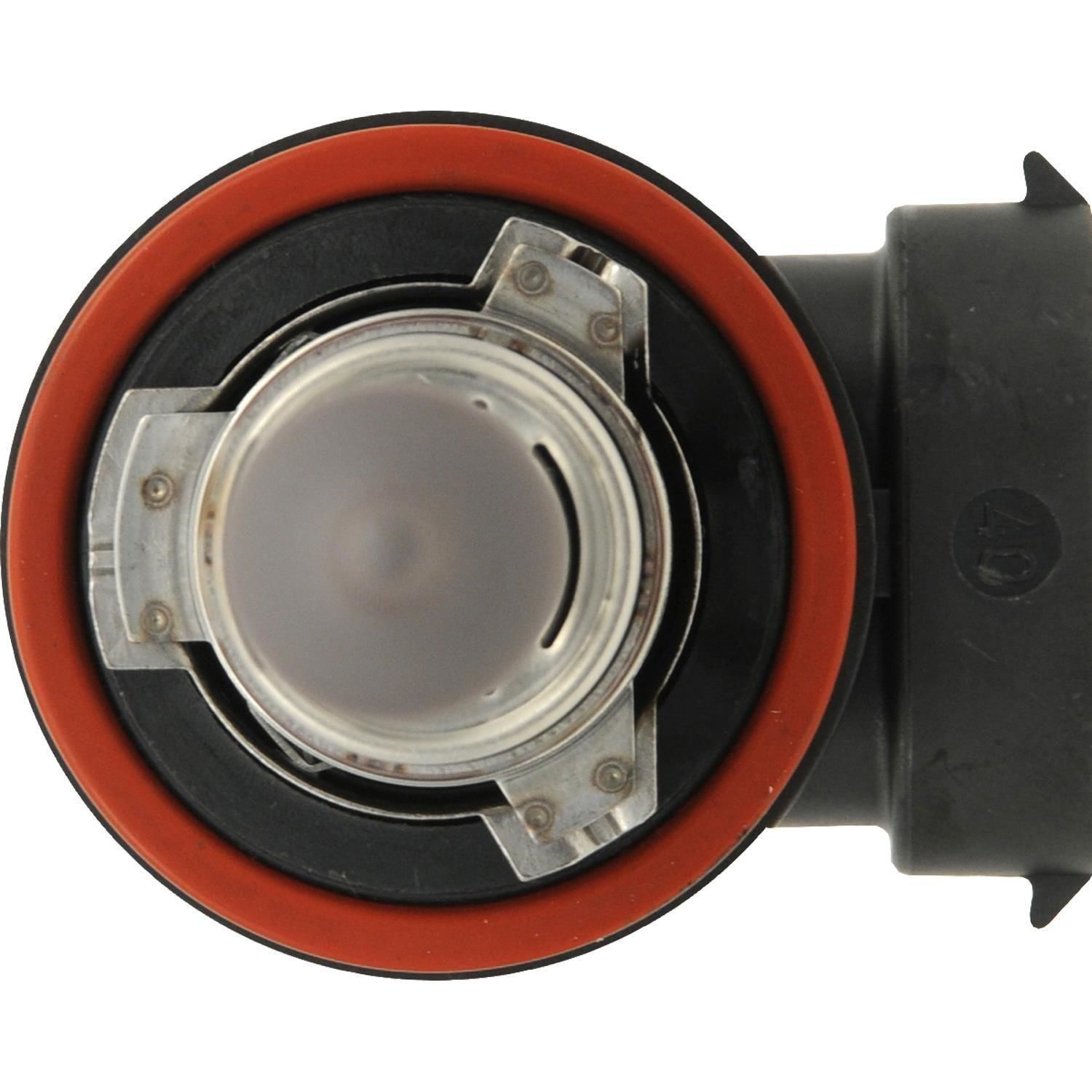 XtraVision Headlight and Fog Light Bulb H11XV-2