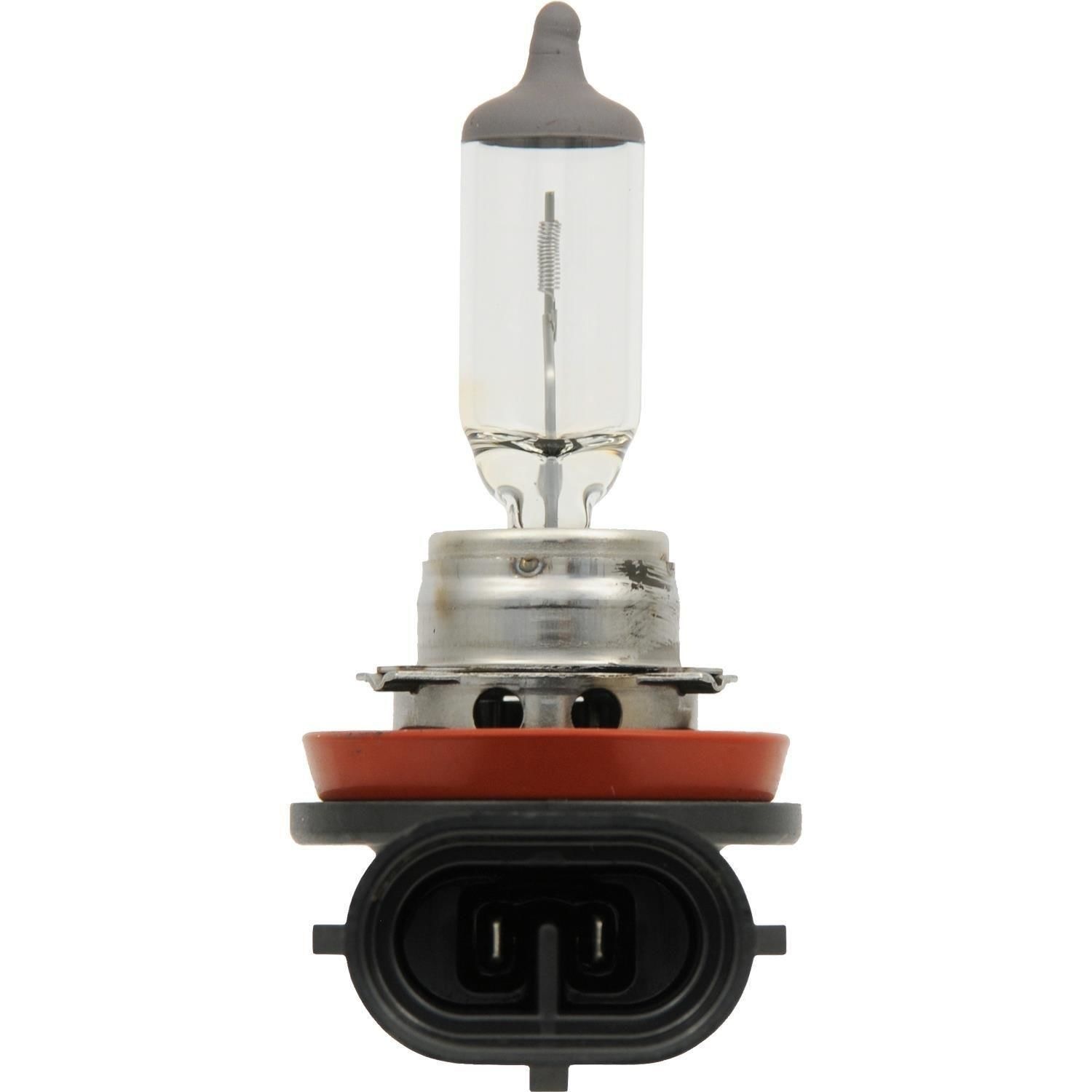XtraVision Headlight and Fog Light Bulb H11XV