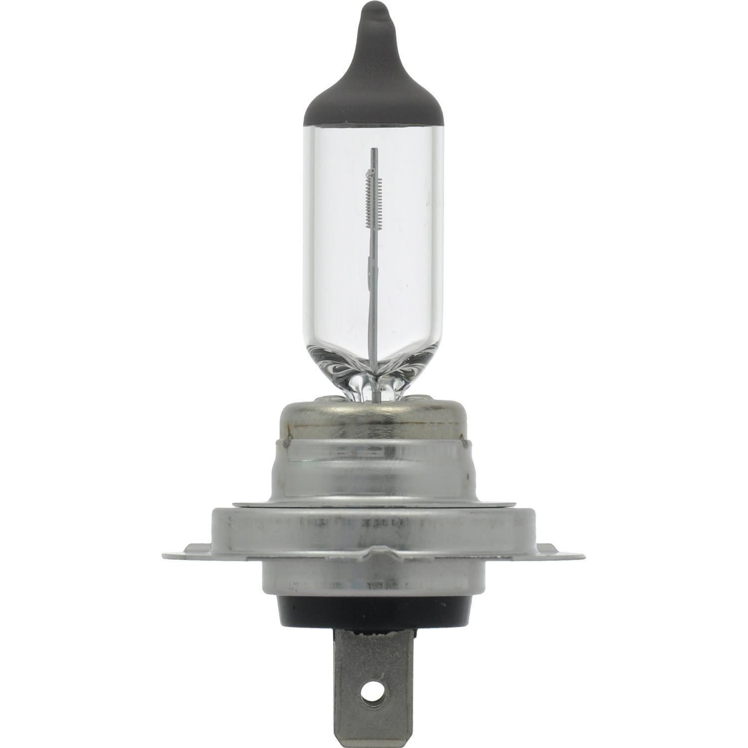 H7 store car bulb