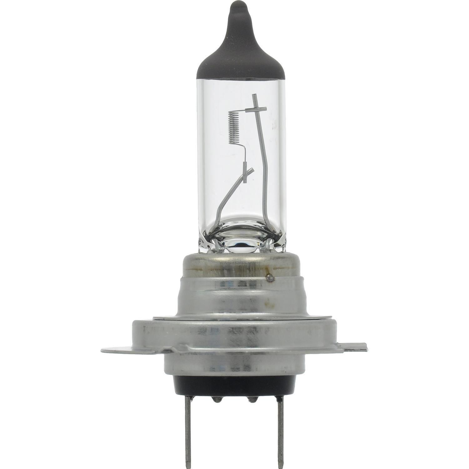 LAMPE H7 12V 55W – DSMOTORS