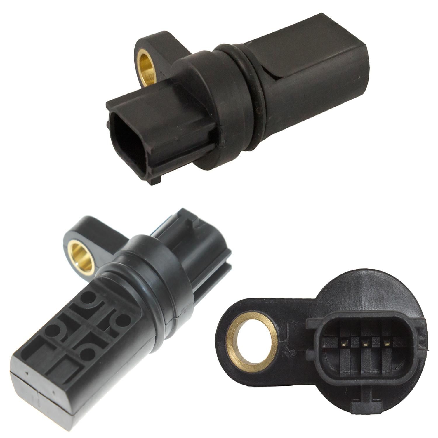 シャンプー cam image_2024-01-